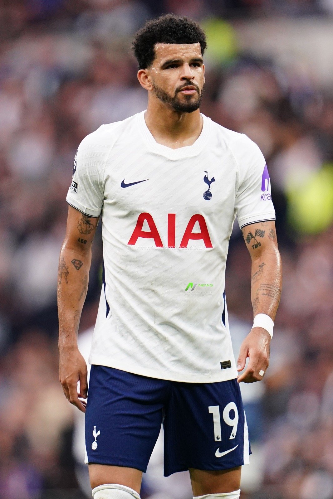 Dominic Solanke of Tottenham Hotspur during the Premier League match Tottenham Hotspur vs Newcastle Untied at Tottenham Hotspur Stadium, London, United Kingdom on 29 August 2026

(Photo by Harvey Murphy/News Images)