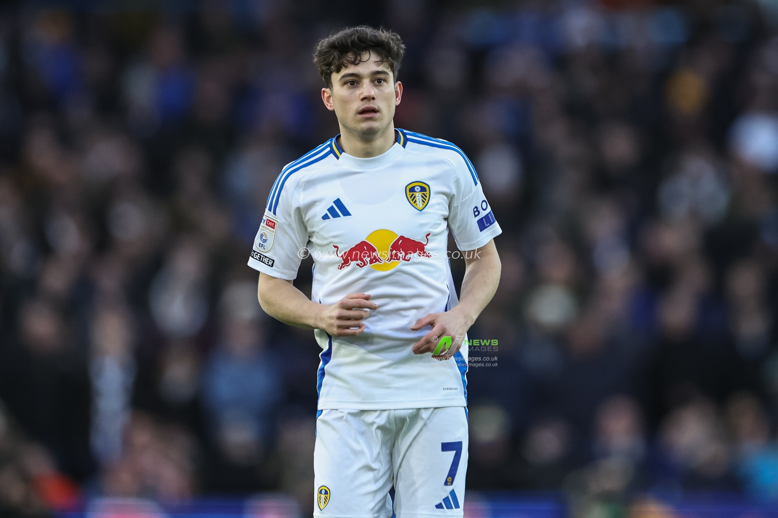 Dan James of Leeds United during the Sky Bet Championship match Leeds United vs Oxford United at Elland Road, Leeds, United Kingdom, 21st December 2024

(Photo by Mark Cosgrove/News Images)