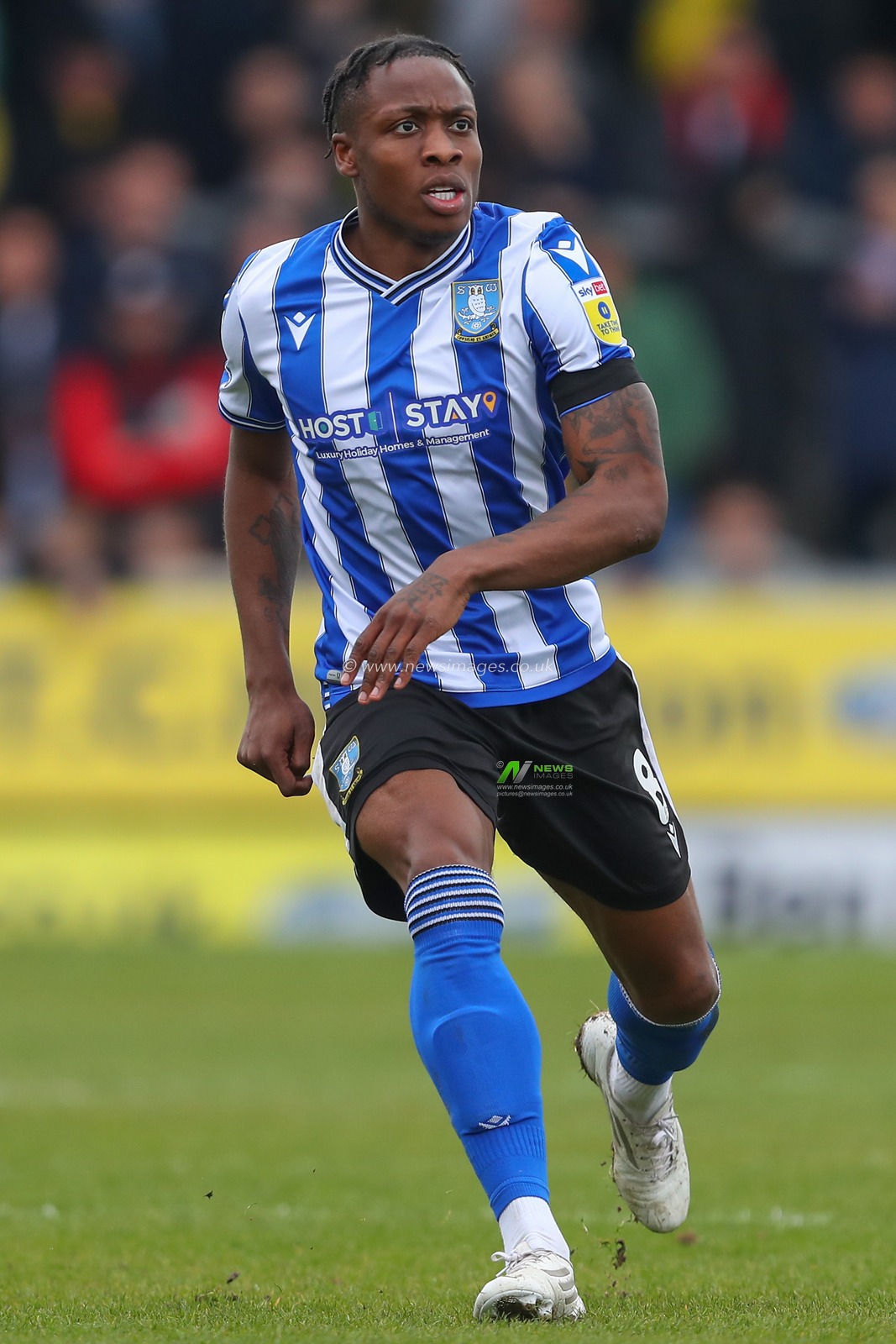 Dennis Adeniran #8 of Sheffield Wednesday during the Sky Bet League 1 match Burton Albion vs Sheffield Wednesday at Pirelli Stadium, Burton upon Trent, United Kingdom, 15th April 2023

(Photo by Gareth Evans/News Images)