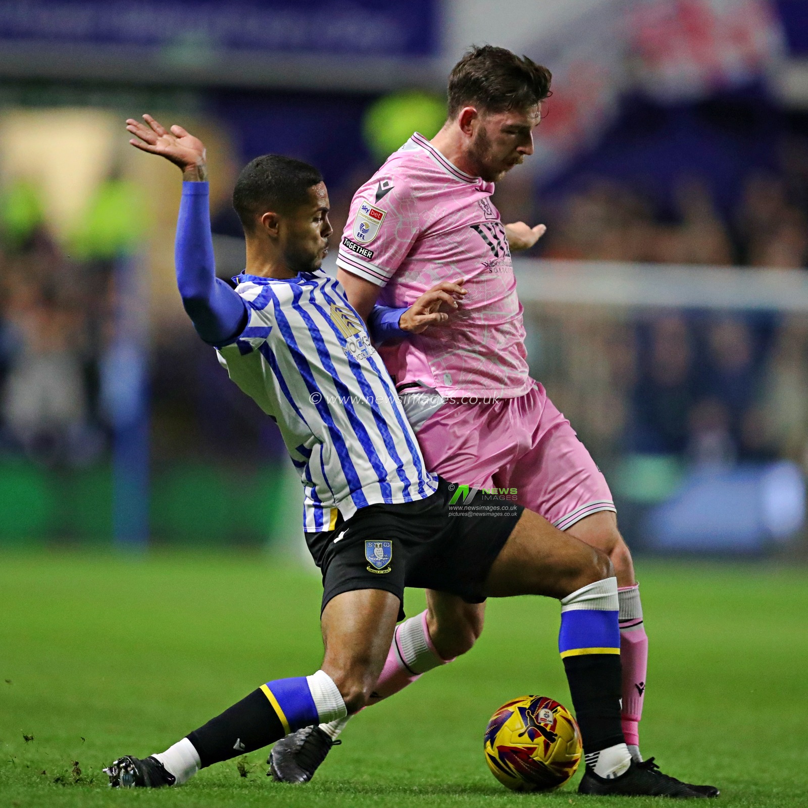 Max Lowe of Sheffield Wednesday pressures \Joseph Rankin-Costello of Blackburn Rovers during the Sky Bet Championship match Sheffield Wednesday vs Blackburn Rovers at Hillsborough, Sheffield, United Kingdom, 10th December 2024

(Photo by Sam Eaden/News Images)

