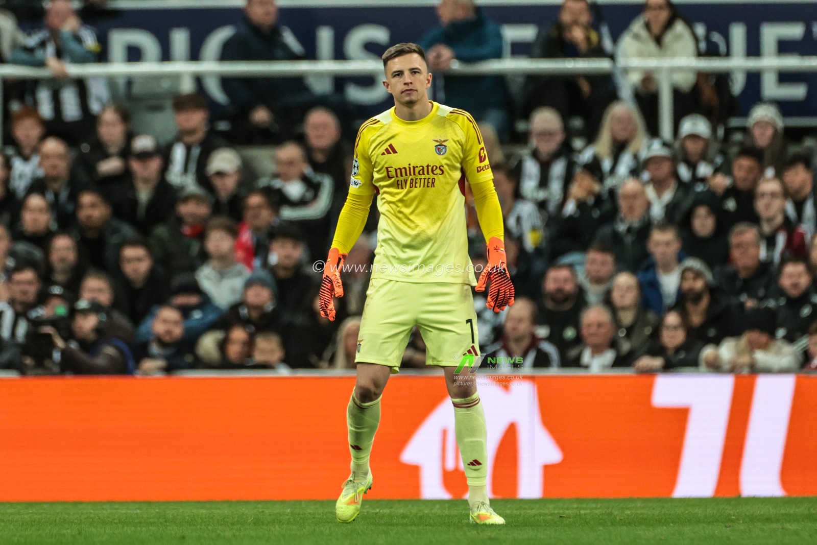 Benfica goalkeeper Anatoliy Trubin during the UEFA Champions League Matchday 3 of 8 Newcastle United vs Benfica at St. James's Park, Newcastle, United Kingdom, 21st October 2025

(Photo by Mark Cosgrove/News Images)
