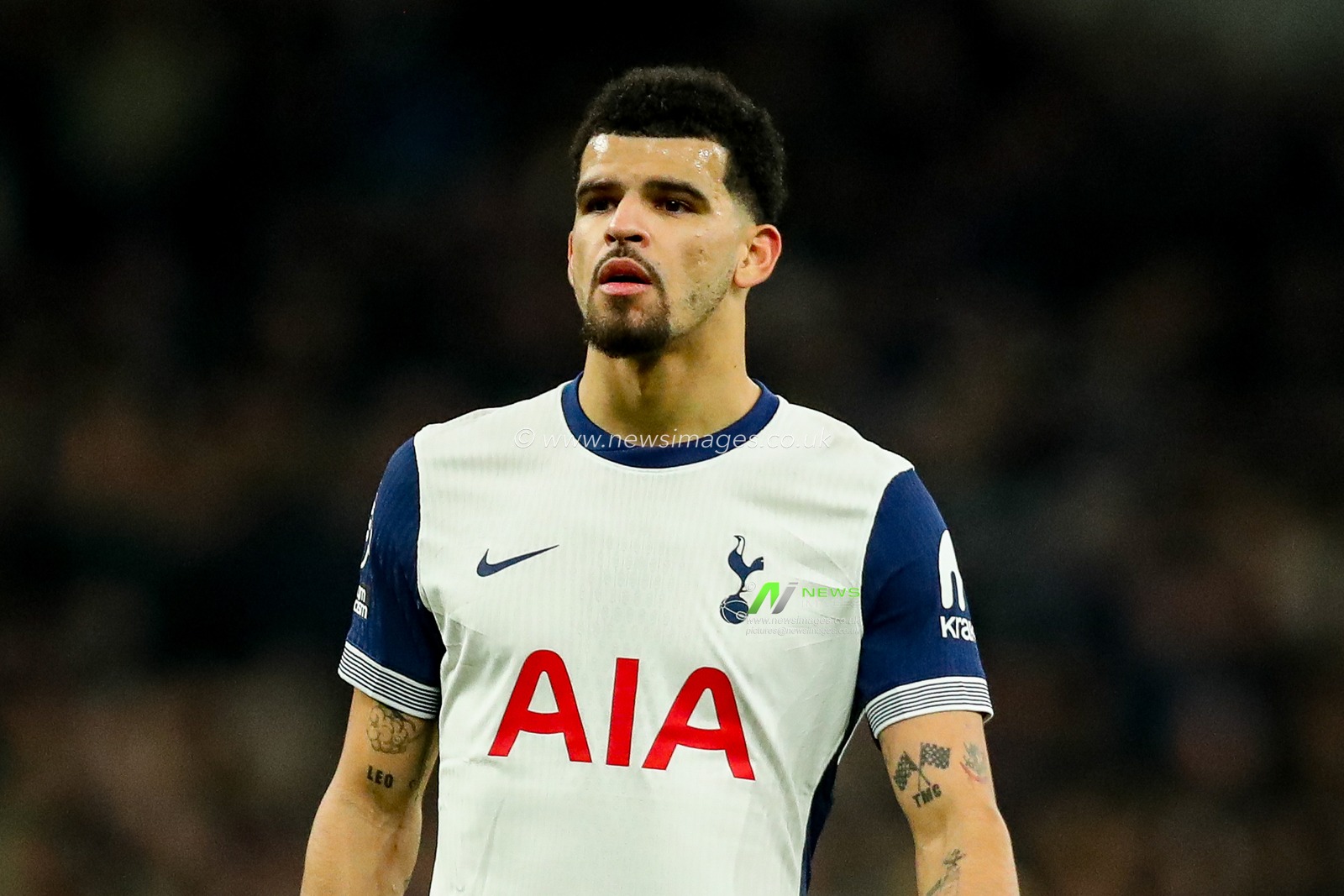 Dominic Solanke of Tottenham Hotspur looks on during the Premier League match Tottenham Hotspur vs Wolverhampton Wanderers at Tottenham Hotspur Stadium, London, United Kingdom, 29th December 2024

(Photo by Izzy Poles/News Images)