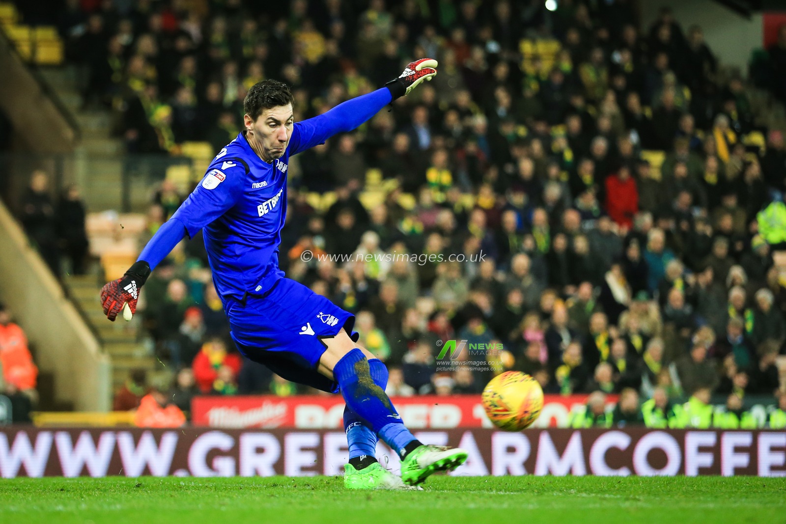 26th December 2018, Carrow Road, Norfolk, England; Sky Bet Championship, Norwich City vs Nottingham Forest ;  Costel Pantilimon (01) of Nottingham Forest

Credit: Georgie Kerr/News Images

English Football League images are subject to DataCo Licence