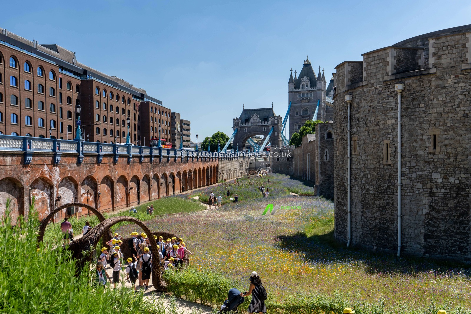 The moat at the Tower of London has been transformed into a habitat for wildlife in the heart of the city. The Superbloom is the first year of a permanent transformation of the moat. The end of March 20 million seeds were sowed. The moat will filled with colour from June to September.