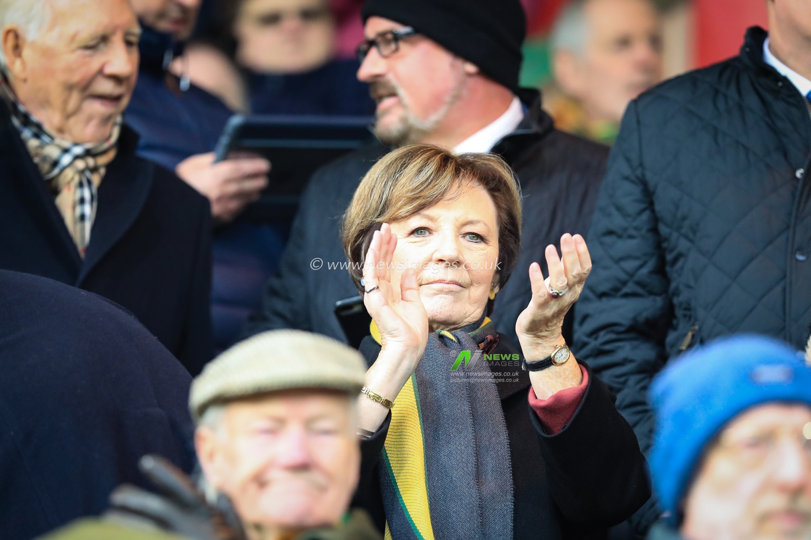 26th January 2019, Carrow Road, Norfolk, England; Sky Bet Championship, Norwich City vs Sheffield United ;  Delia Smith in the stands at Carrow Road


Credit: Georgie Kerr/News Images

English Football League images are subject to DataCo Licence