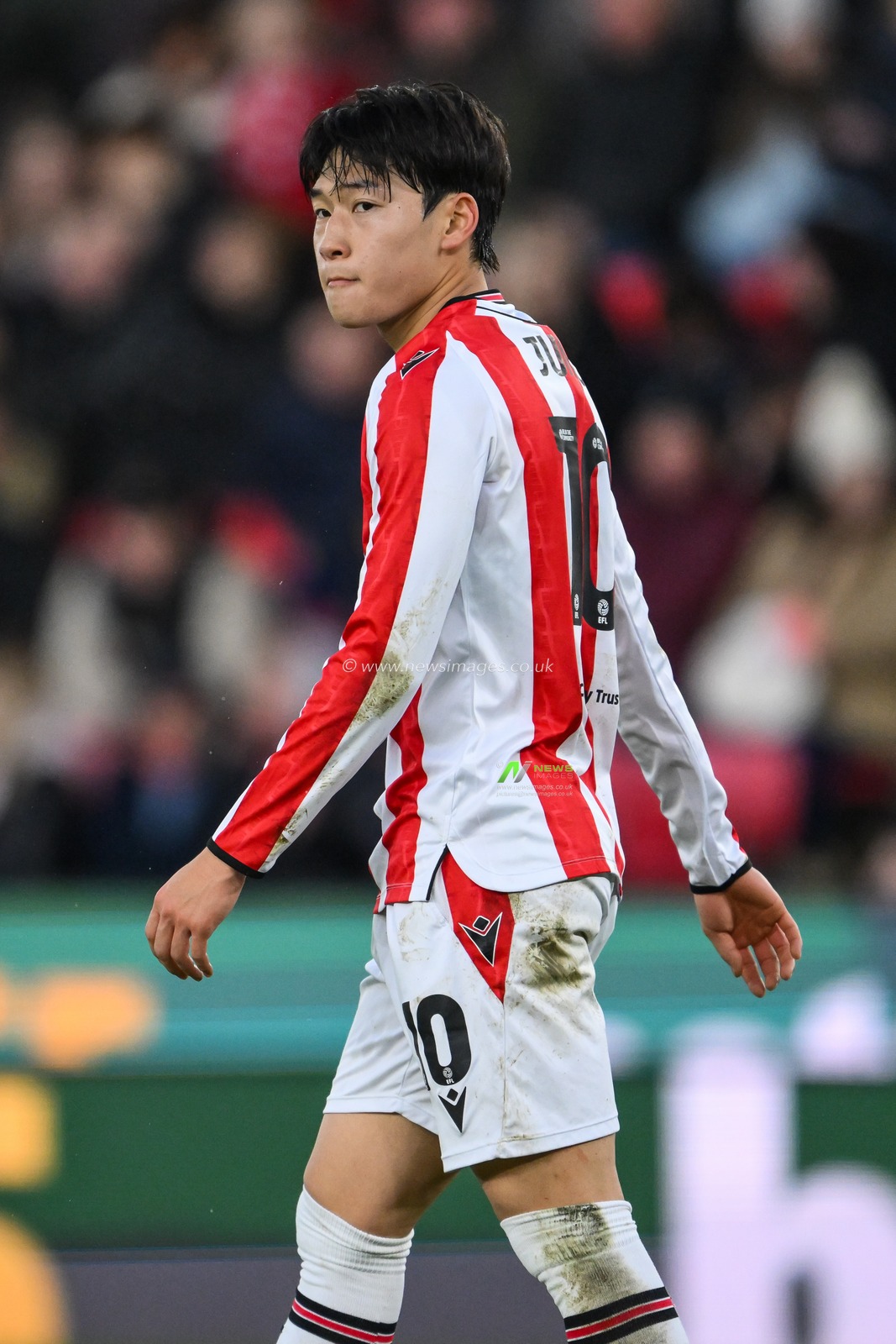 Bae Jun-Ho of Stoke City during the Sky Bet Championship match Stoke City vs Cardiff City at Bet365 Stadium, Stoke-on-Trent, United Kingdom, 14th December 2024

(Photo by Craig Thomas/News Images)