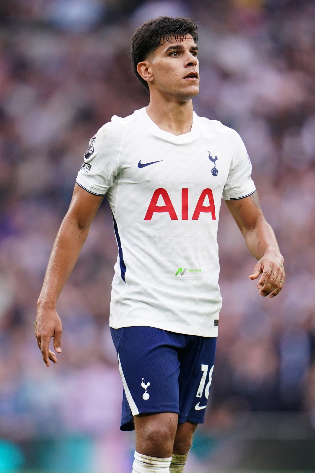 Mateus Fernandes of Tottenham Hotspur during the Premier League match Tottenham Hotspur vs Newcastle Untied at Tottenham Hotspur Stadium, London, United Kingdom on 29 August 2026

(Photo by Harvey Murphy/News Images)
