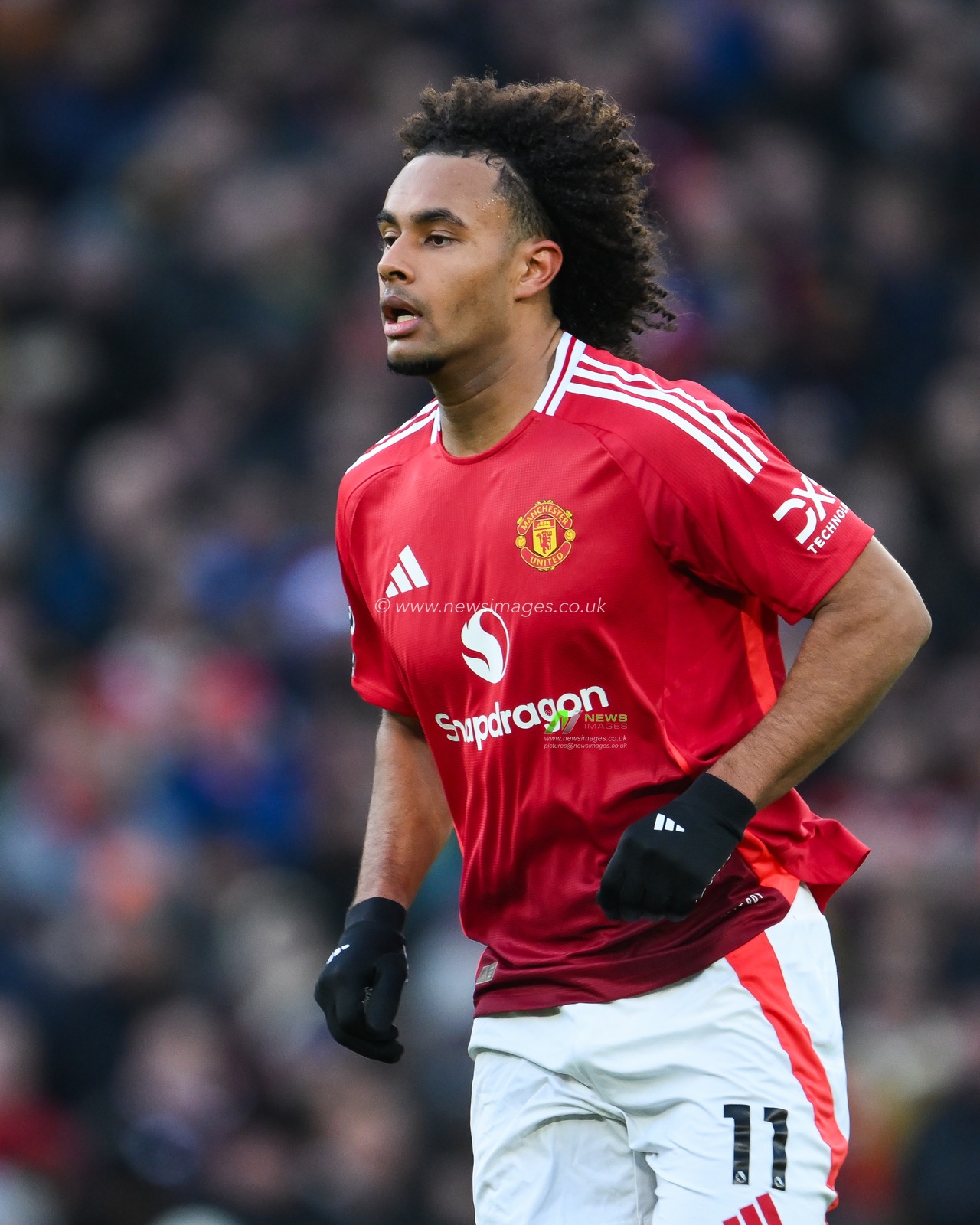 Joshua Zirkzee of Manchester United during the Premier League match Manchester United vs Bournemouth at Old Trafford, Manchester, United Kingdom, 22nd December 2024

(Photo by Craig Thomas/News Images)