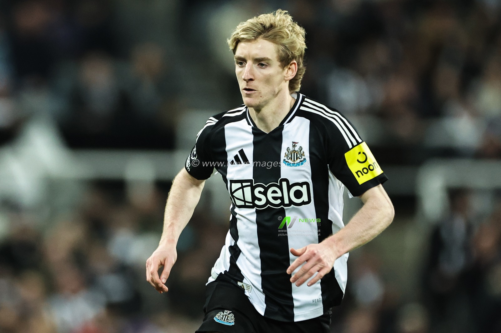 Anthony Gordon of Newcastle United during the Premier League match Newcastle United vs Wolverhampton Wanderers at St. James's Park, Newcastle, United Kingdom, 15th January 2025

(Photo by Mark Cosgrove/News Images)