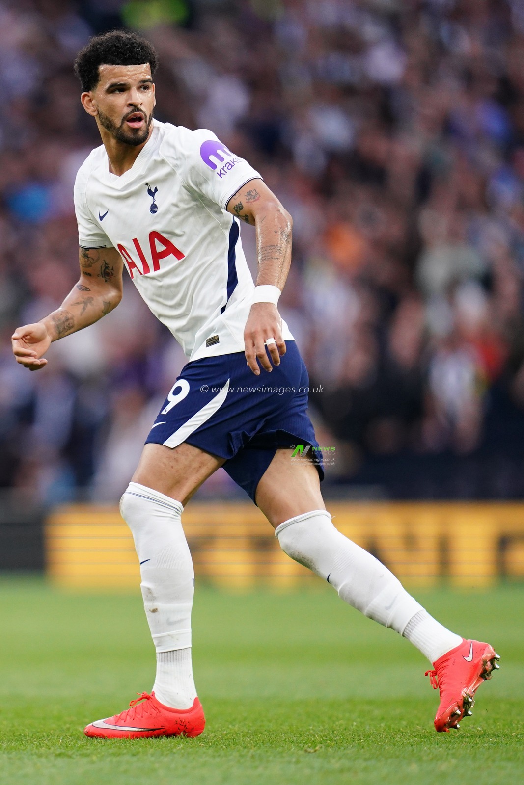 Dominic Solanke of Tottenham Hotspur during the Premier League match Tottenham Hotspur vs Newcastle Untied at Tottenham Hotspur Stadium, London, United Kingdom on 29 August 2026

(Photo by Harvey Murphy/News Images)