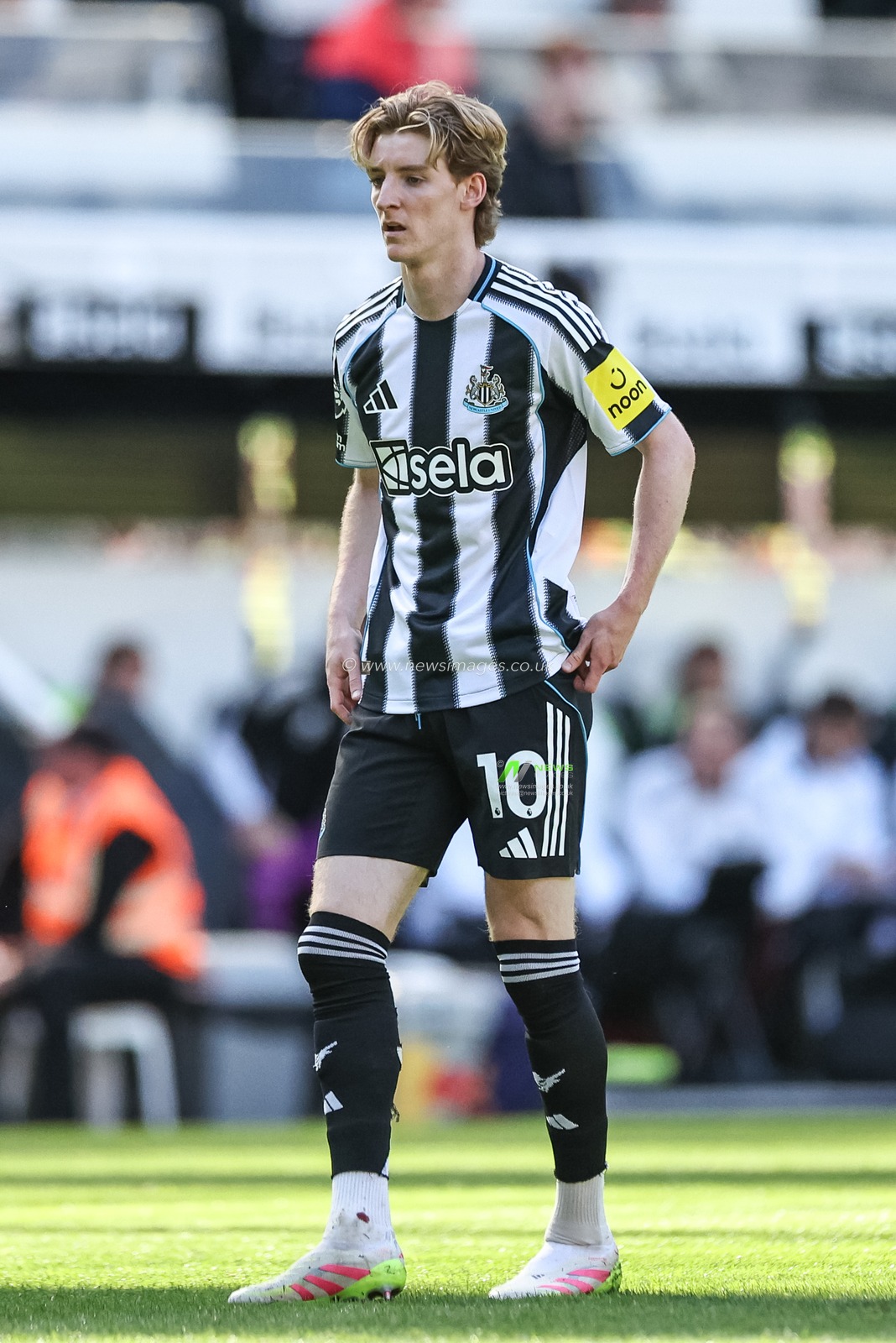 Anthony Gordon of Newcastle United during the Premier League match Newcastle United vs Everton at St. James's Park, Newcastle, United Kingdom, 25th May 2025

(Photo by Mark Cosgrove/News Images)