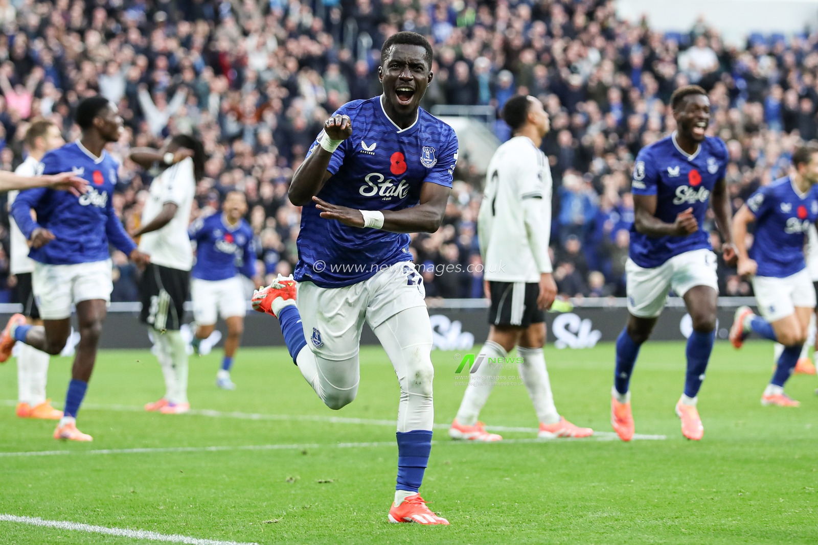 Idrissa Gueye of Everton scores and celebrates goal to make it 1-0 during the Premier League match Everton vs Fulham at Hill Dickinson Stadium, Liverpool, United Kingdom, 8th November 2025

(Photo by Jorge Horsted/News Images)

*** GER AUT SUI OUT ***