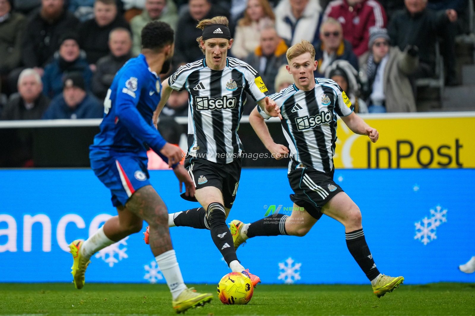 Anthony Gordon of Newcastle United runs with the ball on the wing with Lewis Hall of Newcastle United offering support as ,Reece James marks him during the Premier League match Newcastle United vs Chelsea at St. James's Park, Newcastle, United Kingdom, 20th December 2025

(Photo by Maynard Manyowa/News Images)

*** GER AUT SUI OUT ***