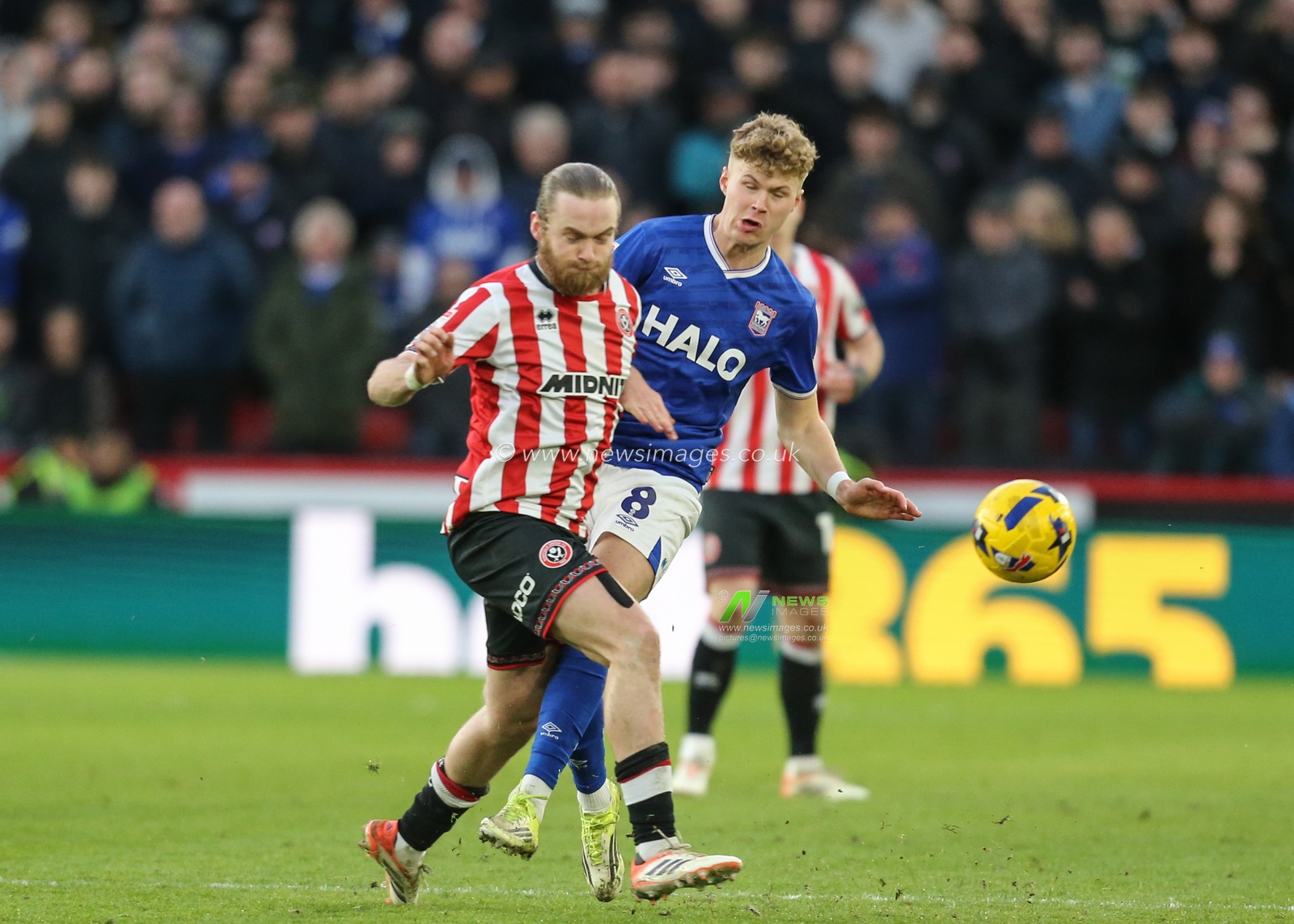 Tom Davies of Sheffield United passes the ball during the Sky Bet Championship match Sheffield United vs Ipswich Town at Bramall Lane, Sheffield, United Kingdom, 24th January 2026

(Photo by Richard Bierton/News Images)