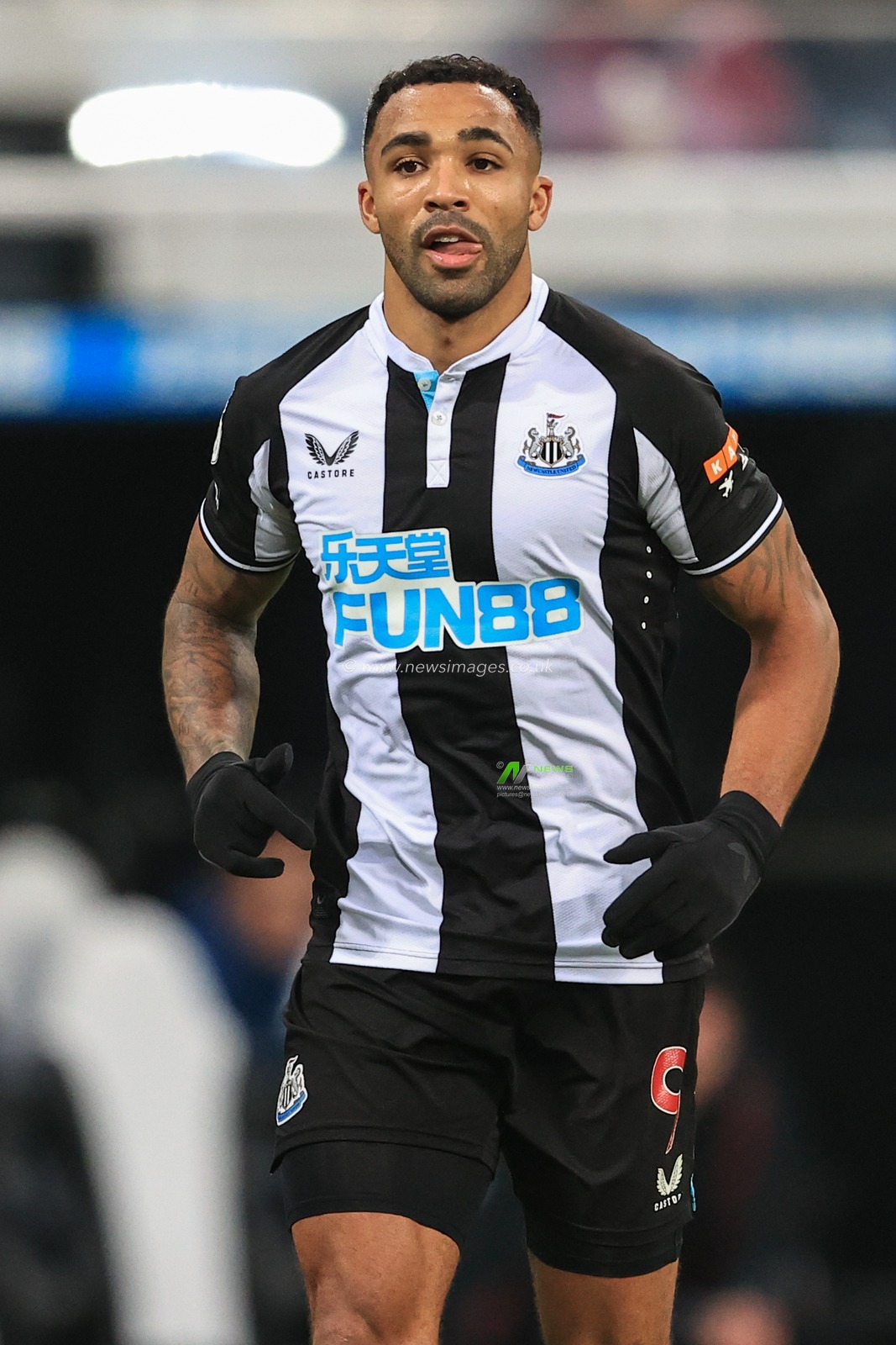 Callum Wilson #9 of Newcastle United during the game