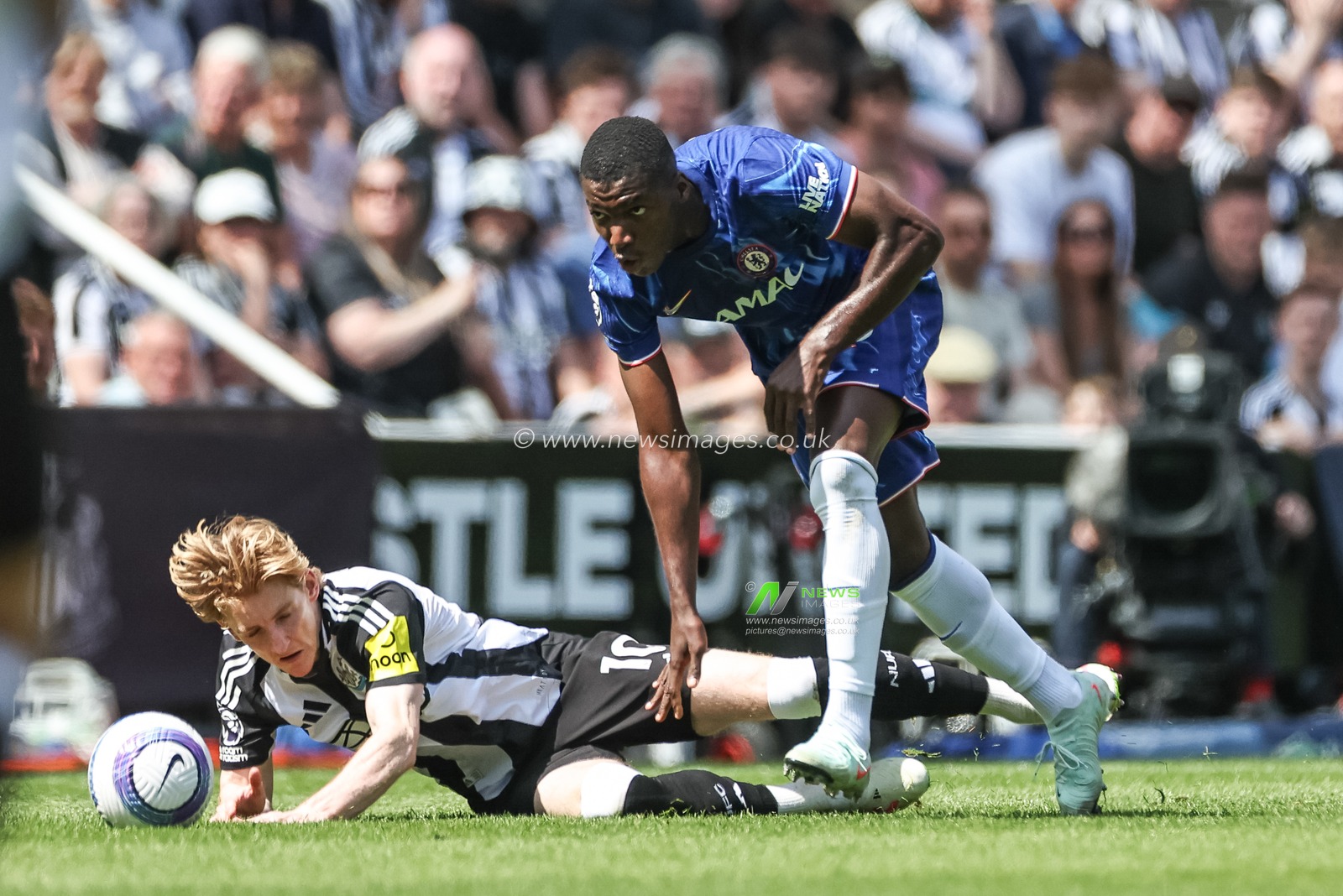Anthony Gordon of Newcastle United is fouled by MoisÃ©s Caicedo of Chelsea during the Premier League match Newcastle United vs Chelsea at St. James's Park, Newcastle, United Kingdom, 11th May 2025

(Photo by Mark Cosgrove/News Images)