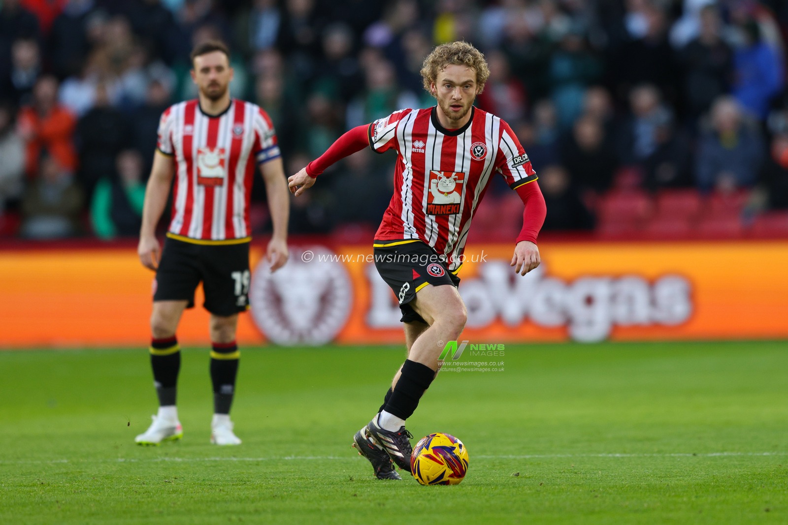 Tom Davies of Sheffield United in action during the Sky Bet Championship match Sheffield United vs Plymouth Argyle at Bramall Lane, Sheffield, United Kingdom, 14th December 2024

(Photo by Alex Roebuck/News Images)