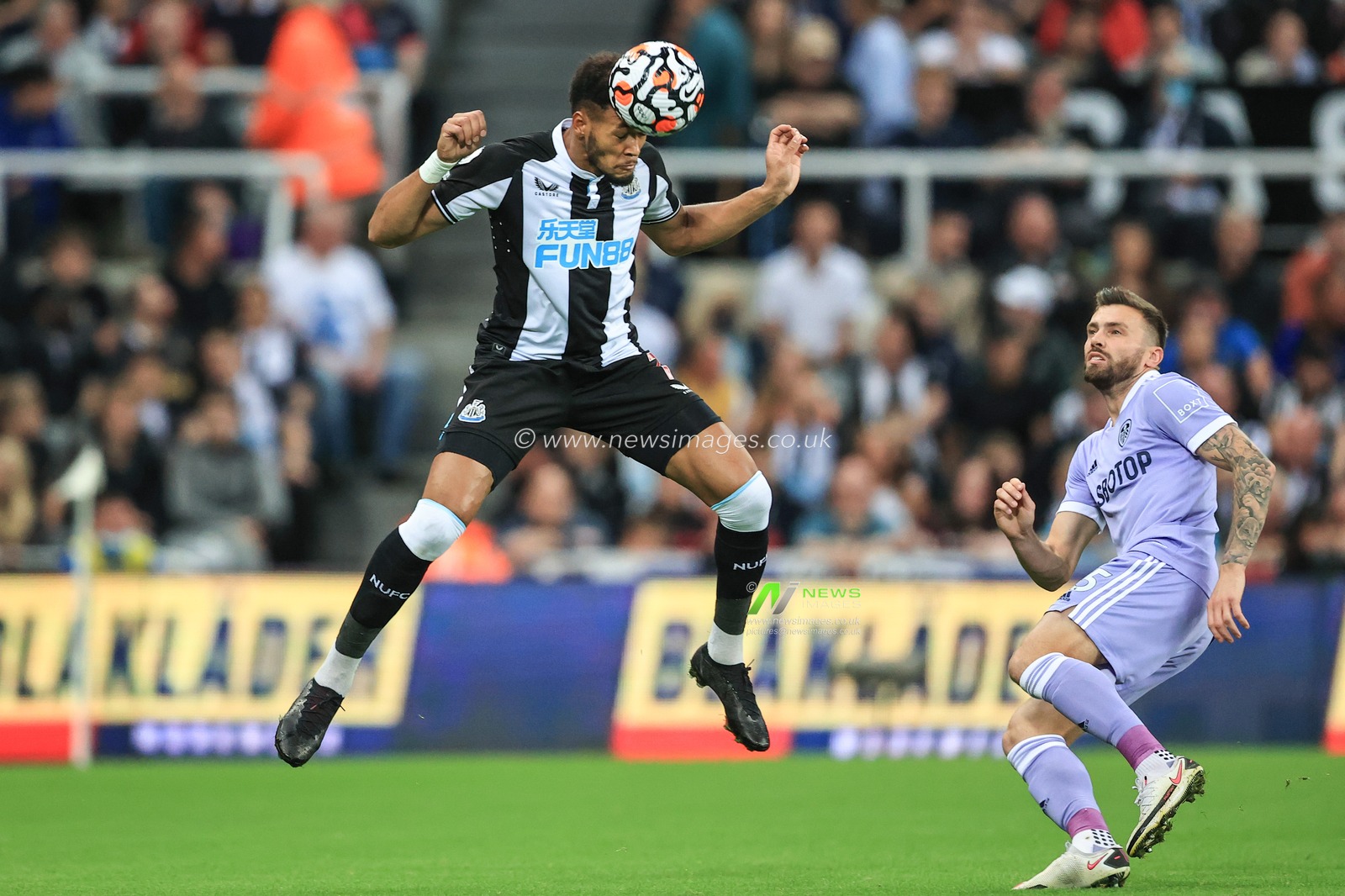 Joelinton #7 of Newcastle United heads the ball