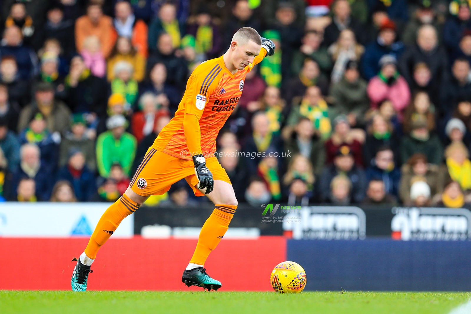 26th January 2019, Carrow Road, Norfolk, England; Sky Bet Championship, Norwich City vs Sheffield United ;  Dean Henderson (01) of Sheffield United takes a goal kick

Credit: Georgie Kerr/News Images

English Football League images are subject to DataCo Licence