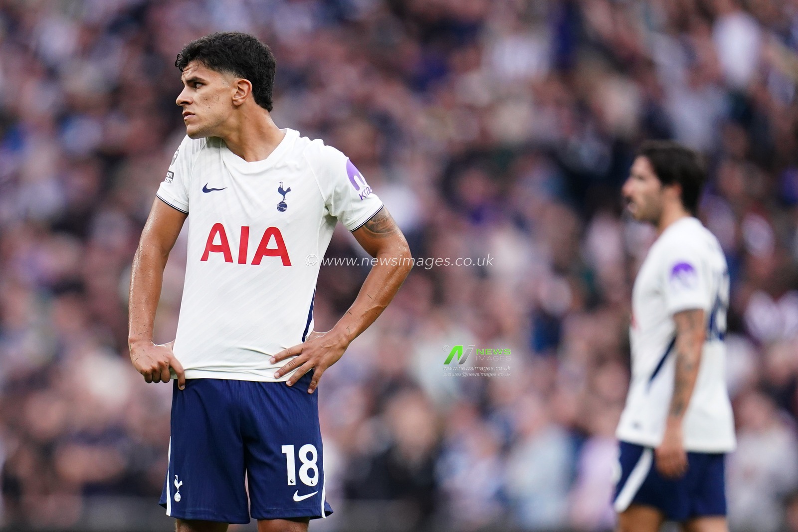 Mateus Fernandes of Tottenham Hotspur during the Premier League match Tottenham Hotspur vs Newcastle Untied at Tottenham Hotspur Stadium, London, United Kingdom on 29 August 2026

(Photo by Harvey Murphy/News Images)