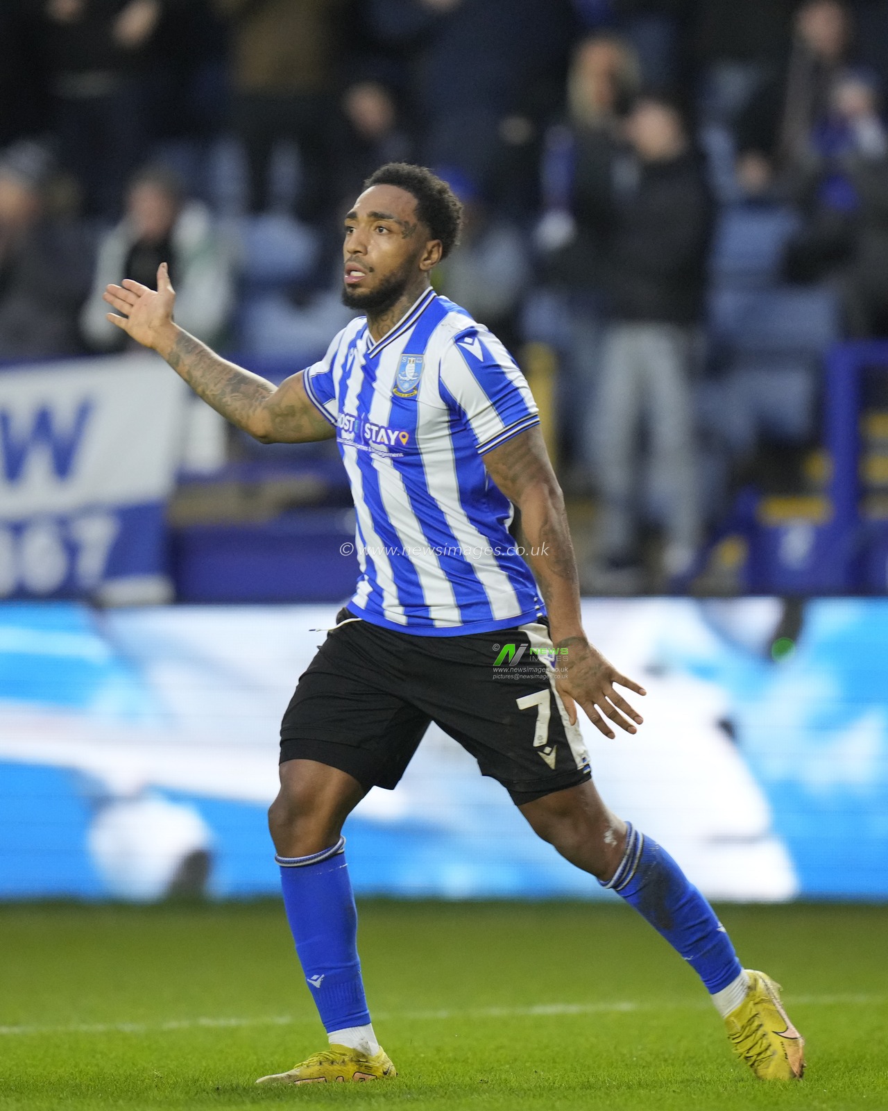 Mallik Wilks #7 of Sheffield Wednesday celebrates scoring to make it 1-1during the Emirates FA Cup Fourth Round match Sheffield Wednesday vs Fleetwood Town at Hillsborough, Sheffield, United Kingdom, 28th January 2023

(Photo by Steve Flynn/News Images)