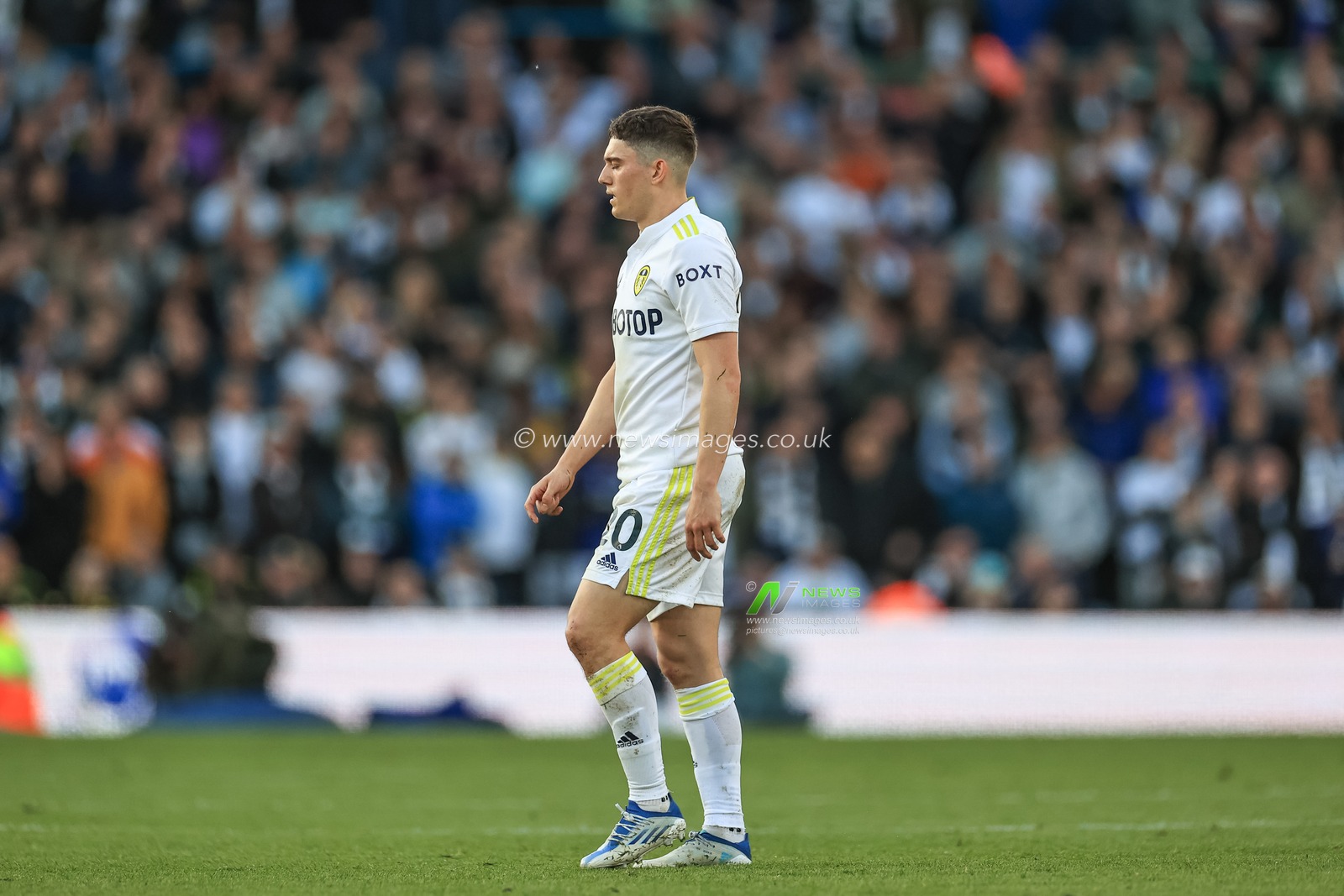 Daniel James #20 of Leeds United is sent off