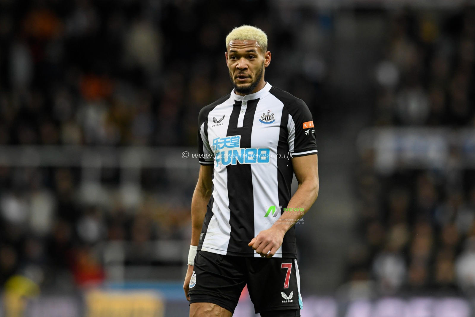Joelinton #7 of Newcastle United in action during the game