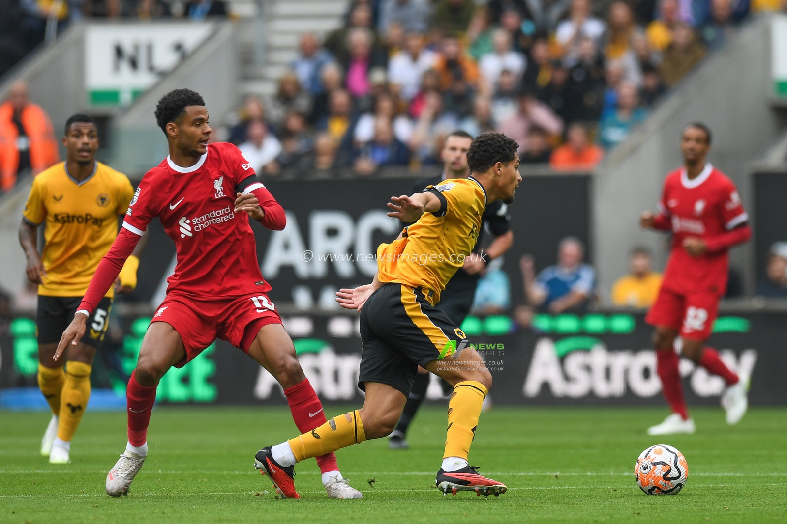 JoÃ£o Gomes #8 of Wolverhampton Wanderers takes the ball past Cody Gakpo #18 of Liverpool during the Premier League match Wolverhampton Wanderers vs Liverpool at Molineux, Wolverhampton, United Kingdom, 16th September 2023

(Photo by Mike Jones/News Images)