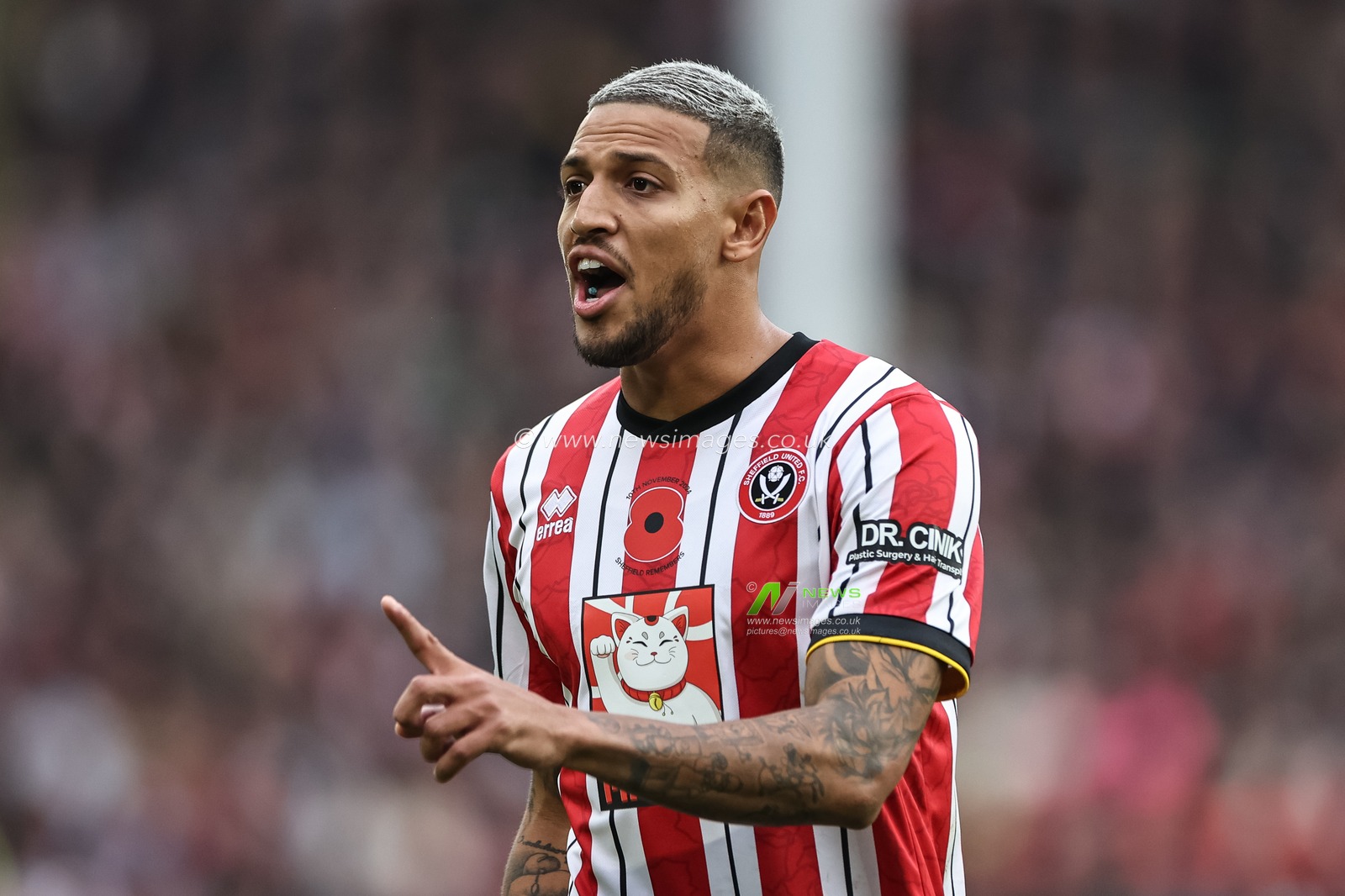 Vinicius Souza of Sheffield United gives his team instructions during the Sky Bet Championship match Sheffield United vs Sheffield Wednesday at Bramall Lane, Sheffield, United Kingdom, 10th November 2024

(Photo by Mark Cosgrove/News Images)