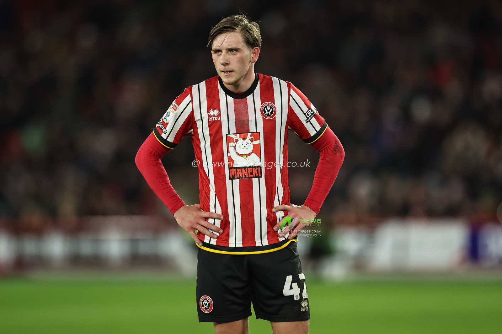 Sydie Peck of Sheffield United during the Sky Bet Championship match Sheffield United vs Hull City at Bramall Lane, Sheffield, United Kingdom, 24th January 2025

(Photo by Mark Cosgrove/News Images)