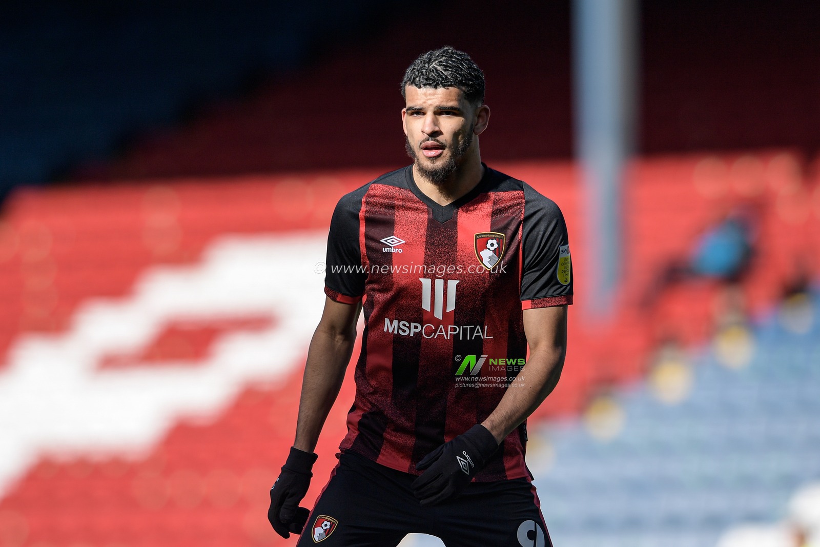Dominic Solanke #9 of Bournemouth in action during the game