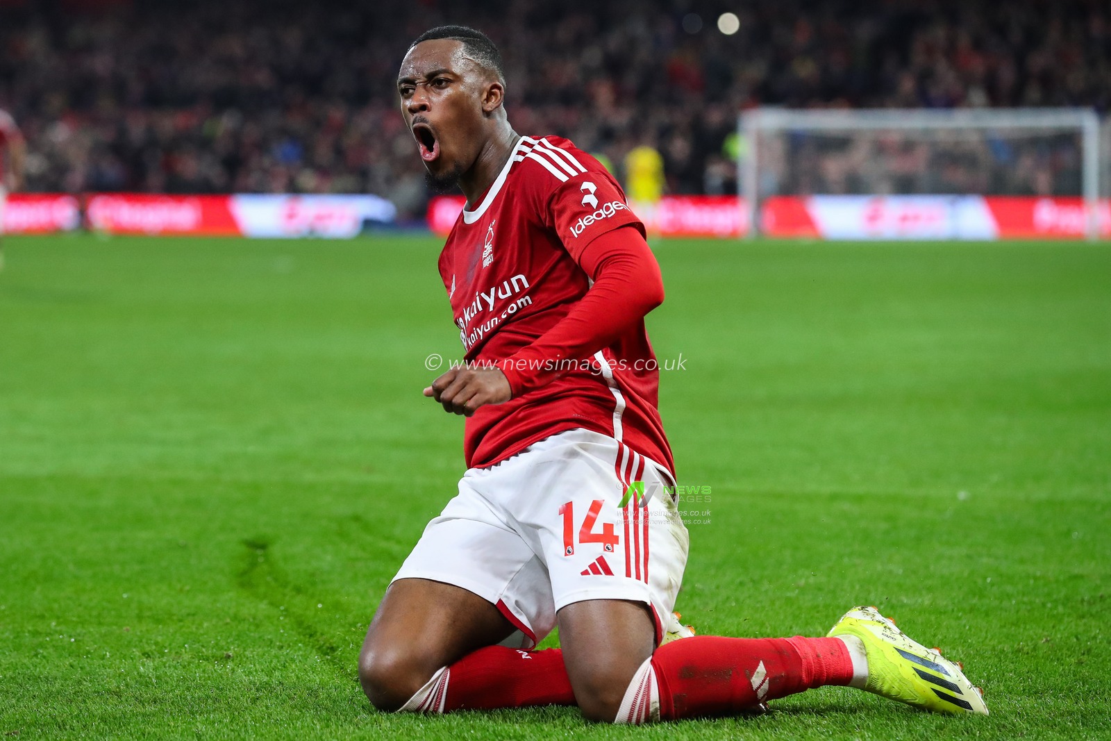 Callum Hudson-Odoi of Nottingham Forest celebrates his goal to make it 2-2 during the Premier League match Nottingham Forest vs Newcastle United at City Ground, Nottingham, United Kingdom, 10th February 2024

(Photo by Gareth Evans/News Images)