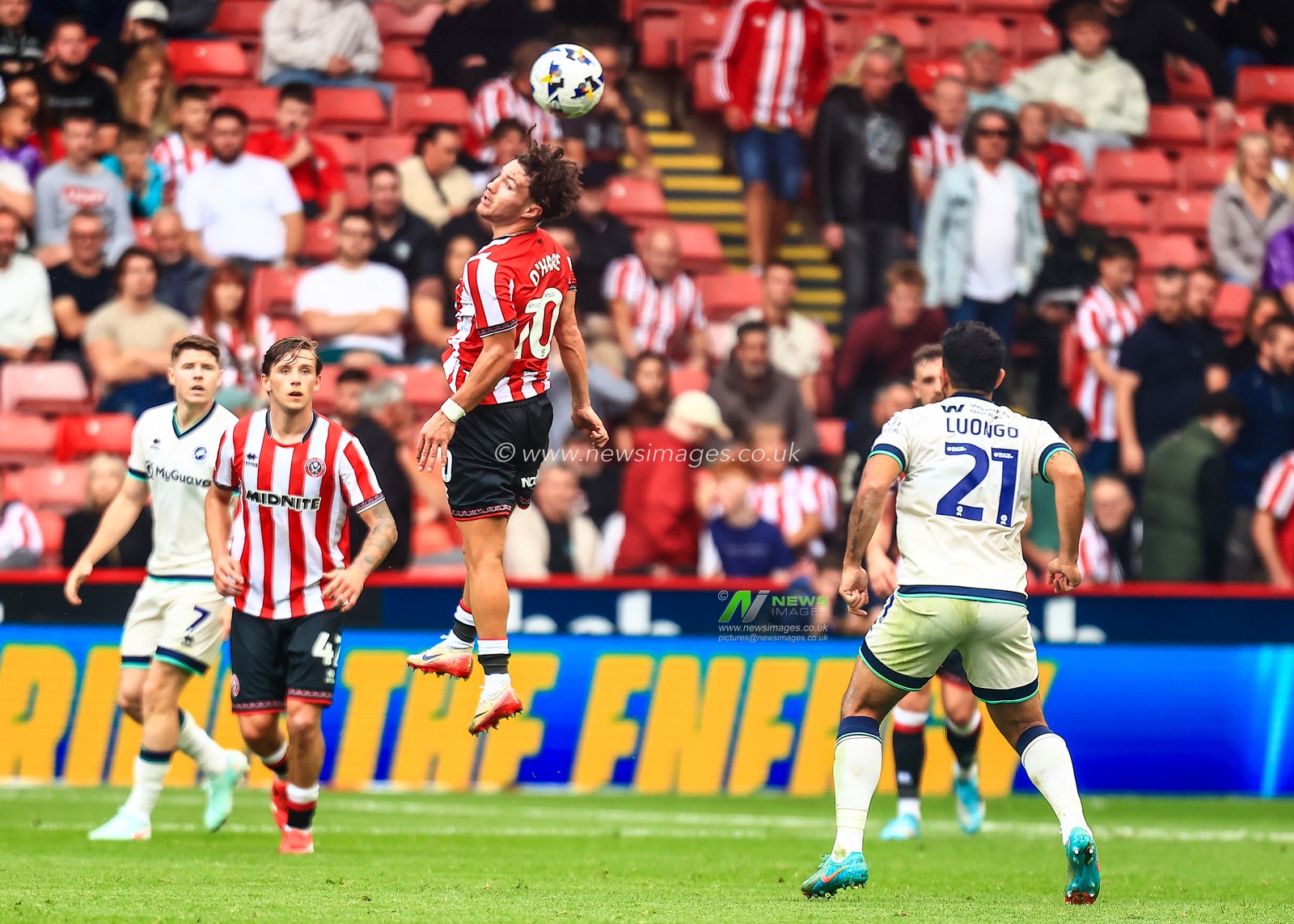 Callum O'Hare of Sheffield United jumps up to win the high ball during the Sky Bet Championship match Sheffield United vs Millwall at Bramall Lane, Sheffield, United Kingdom, 23rd August 2025

(Photo by Richard Bierton/News Images)