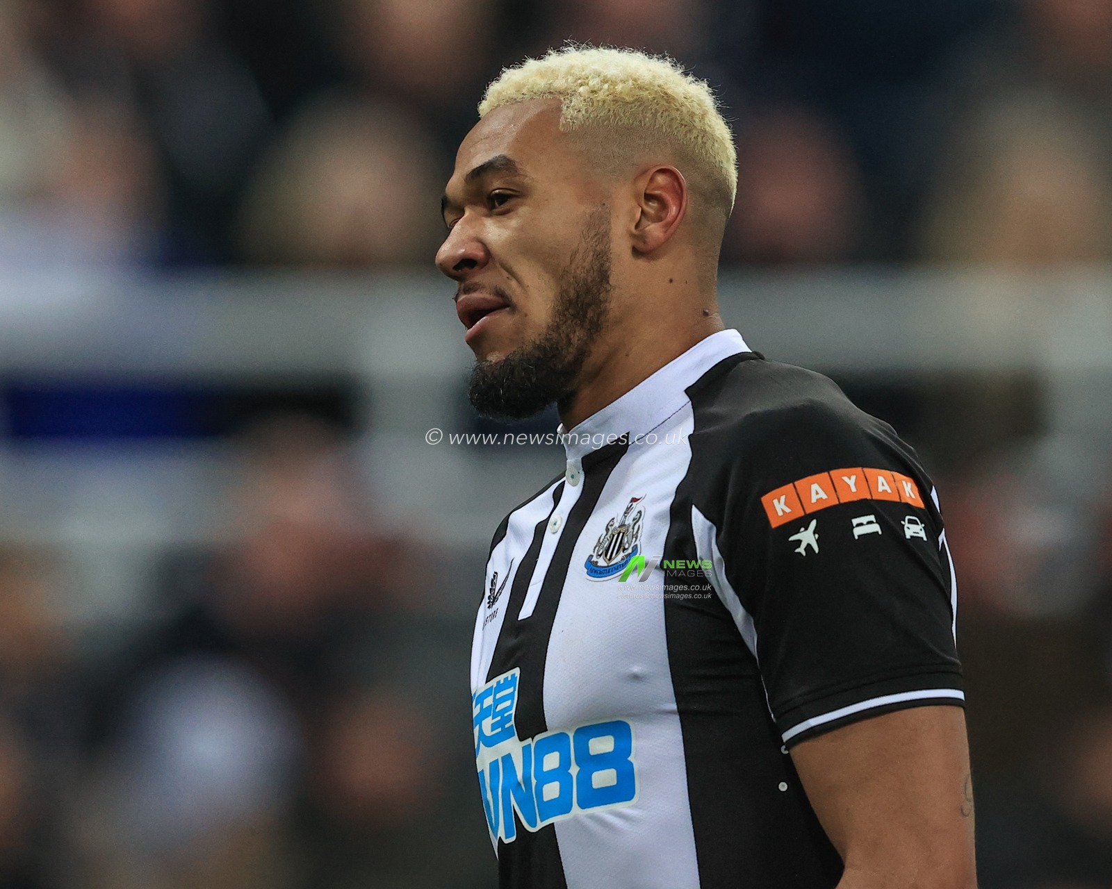 Joelinton #7 of Newcastle United during the game