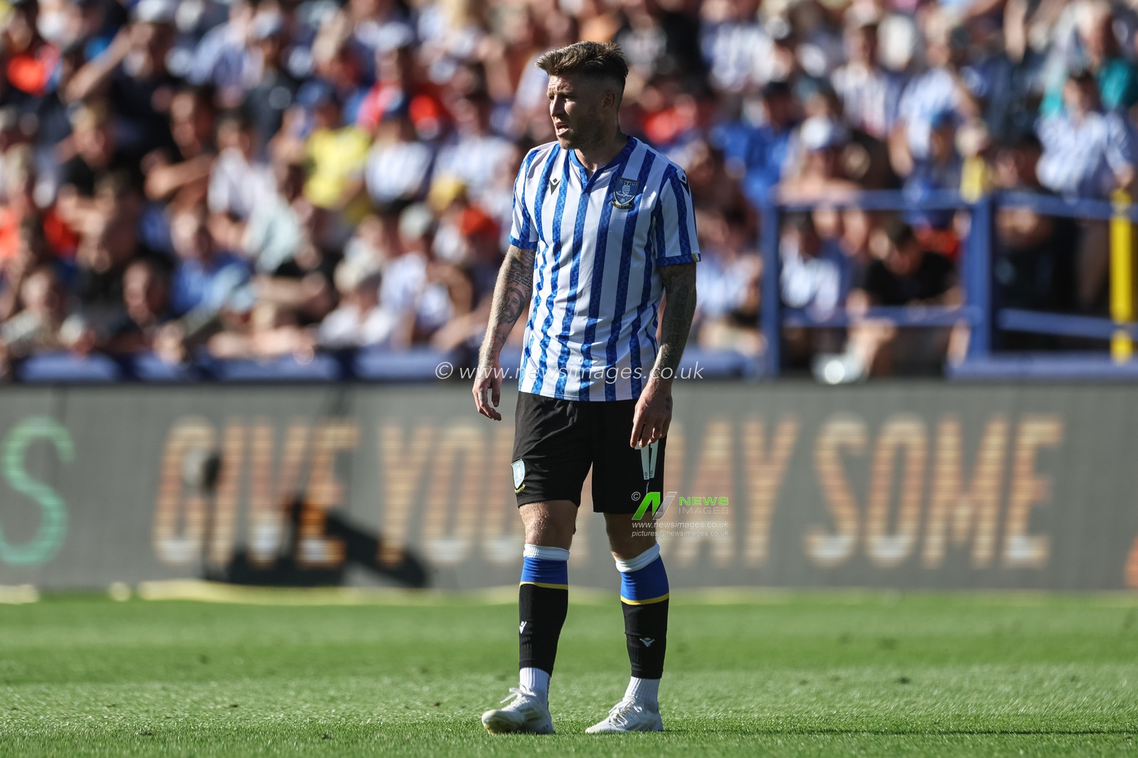 Josh Windass of Sheffield Wednesday during the Sky Bet Championship match Sheffield Wednesday vs Plymouth Argyle at Hillsborough, Sheffield, United Kingdom, 11th August 2024

(Photo by Mark Cosgrove/News Images)
