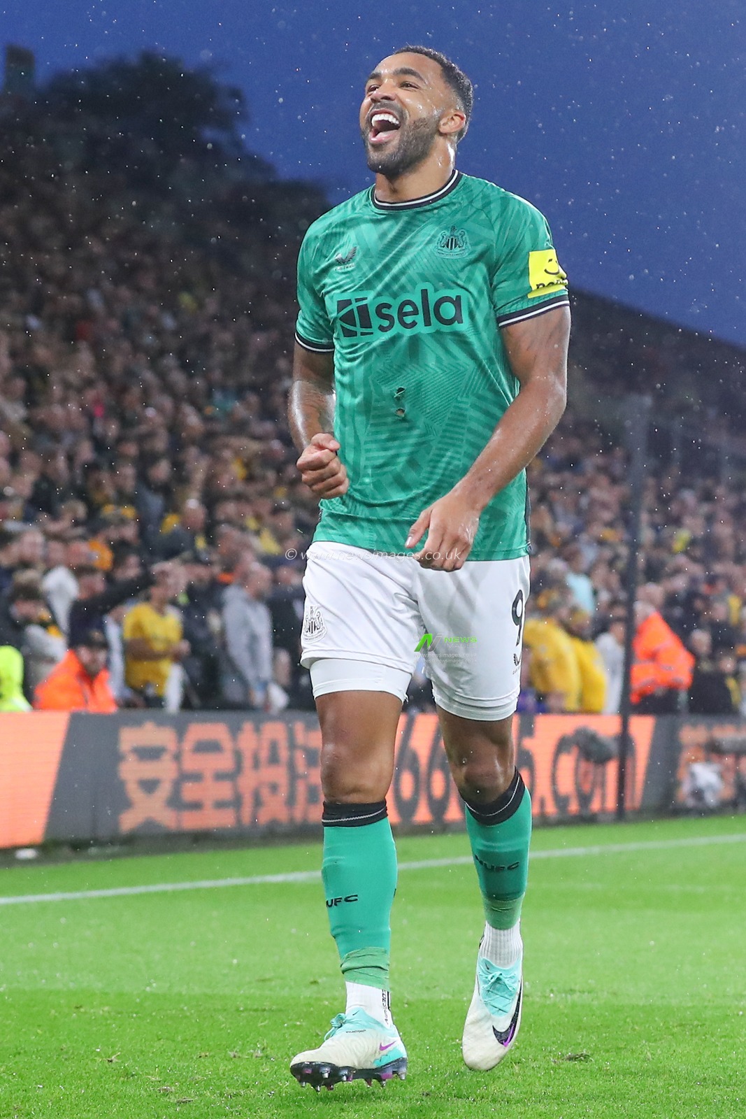Callum Wilson #9 of Newcastle United celebrates his goal to make it 0-1 during the Premier League match Wolverhampton Wanderers vs Newcastle United at Molineux, Wolverhampton, United Kingdom, 28th October 2023

(Photo by Gareth Evans/News Images)