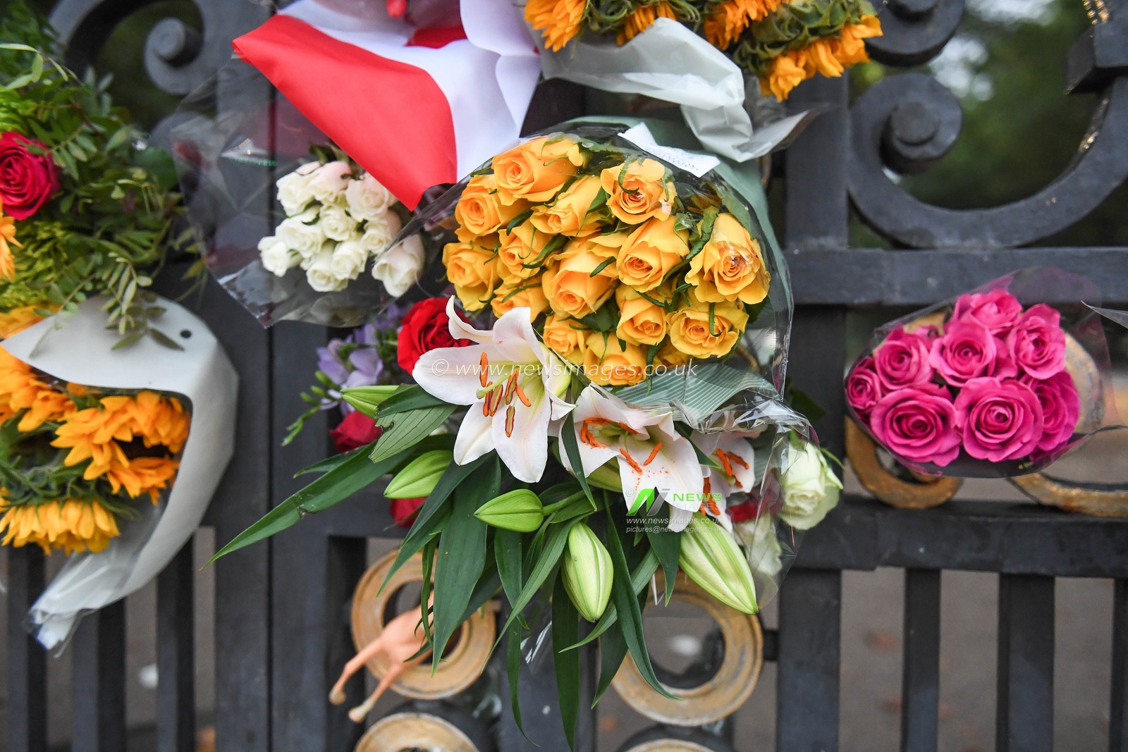 Floral Tributes in Green Park
Day 2 Queens death at Buckingham Palace, London, United Kingdom, 10th September 2022

(Photo by Mike Jones/News Images)