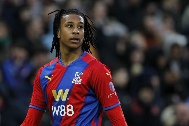 Emirates FA Cup 4th Round Crystal Palace v Hartlepool United