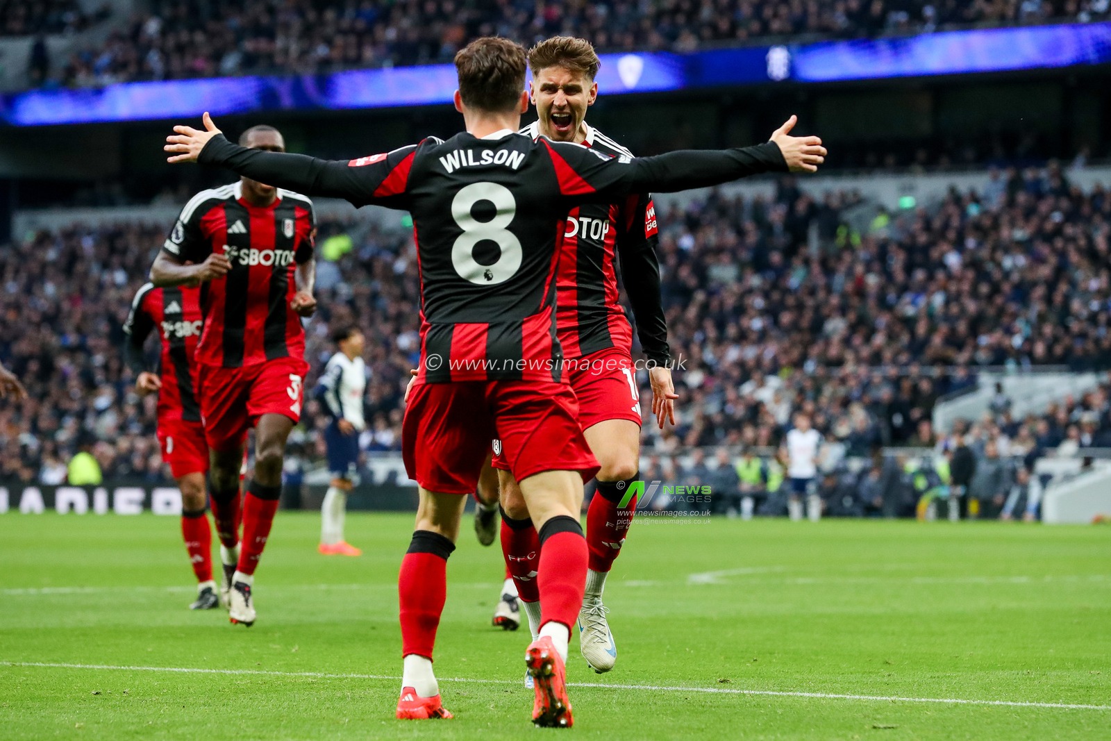 Tom Cairney of Fulham celebrates his goal with Harry Wilson to make it 1-1 during the Premier League match Tottenham Hotspur vs Fulham at Tottenham Hotspur Stadium, London, United Kingdom, 1st December 2024

(Photo by Izzy Poles/News Images)