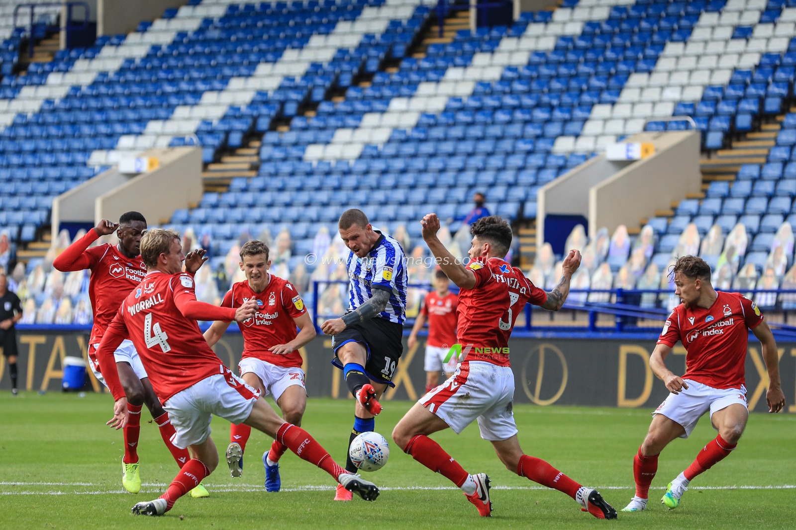 Conor Wickham (19) of Sheffield Wednesday shoots on goal
