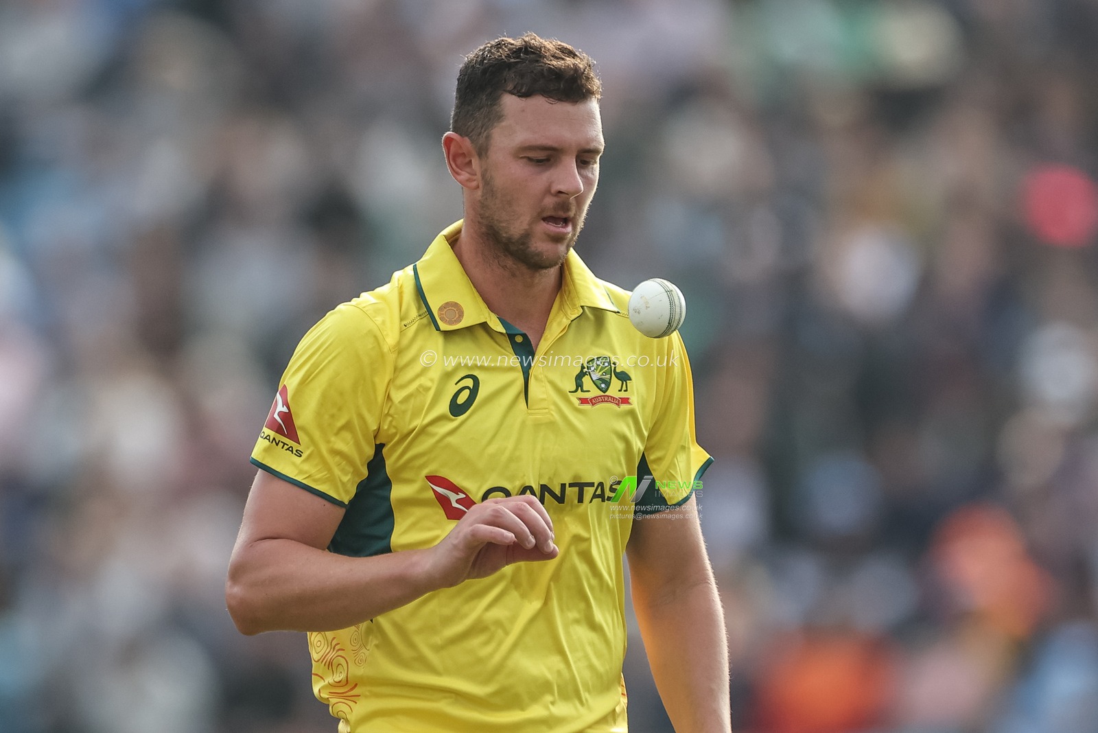 Josh Hazlewood of Australia looks at the ball after bowling three consecutive wides during the Second Metro Bank One Day International England v Australia at Headingley Cricket Ground, Leeds, United Kingdom, 21st September 2024

(Photo by Mark Cosgrove/News Images)