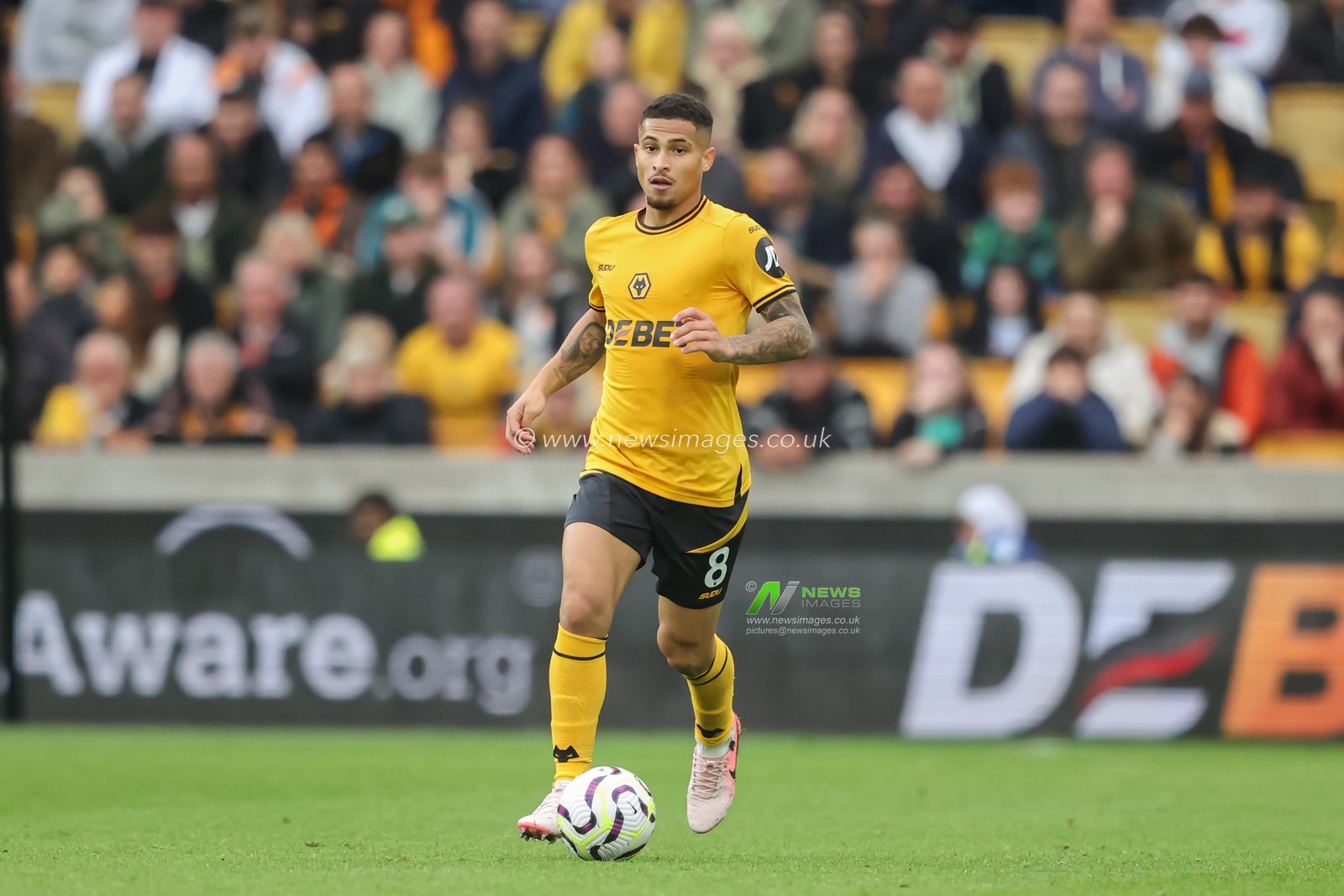 JoÃ£o Gomes of Wolverhampton Wanderers in action during the Premier League match Wolverhampton Wanderers vs Newcastle United at Molineux, Wolverhampton, United Kingdom, 15th September 2024

(Photo by Alfie Cosgrove/News Images)