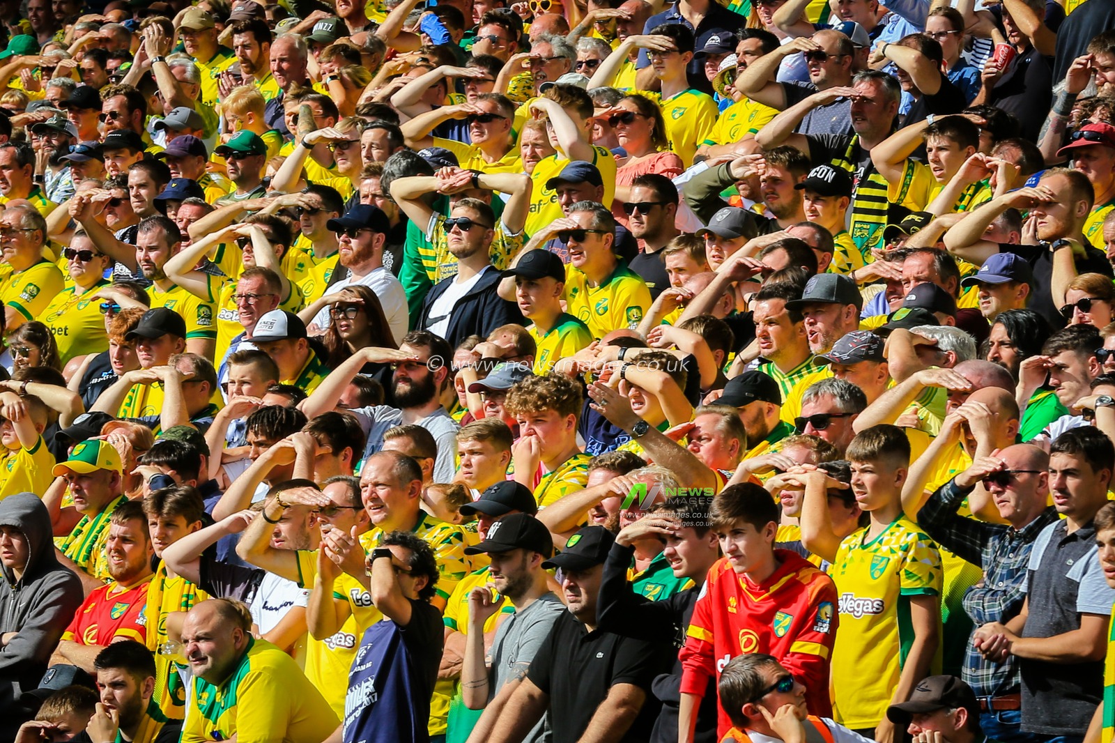 17th August 2019, Carrow Road, Norwich, England ; Premier League Football, Norwich City vs Newcastle United : Norwich fans shield their eyes in the August sunshine


Credit: Georgie Kerr/News Images

English Football League images are subject to DataCo Licence