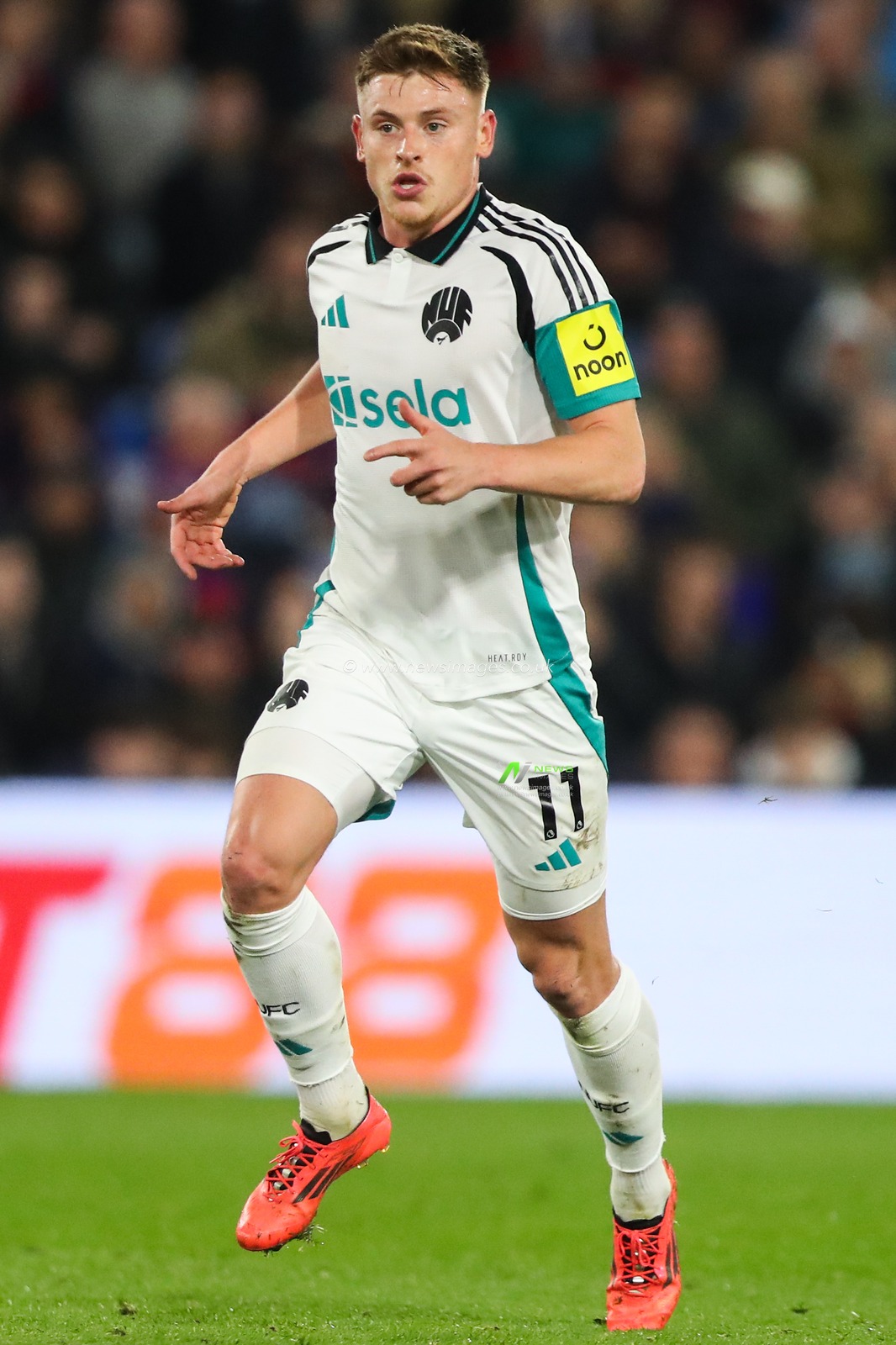Harvey Barnes of Newcastle United during the Premier League match Crystal Palace vs Newcastle United at Selhurst Park, London, United Kingdom, 30th November 2024

(Photo by Gareth Evans/News Images)