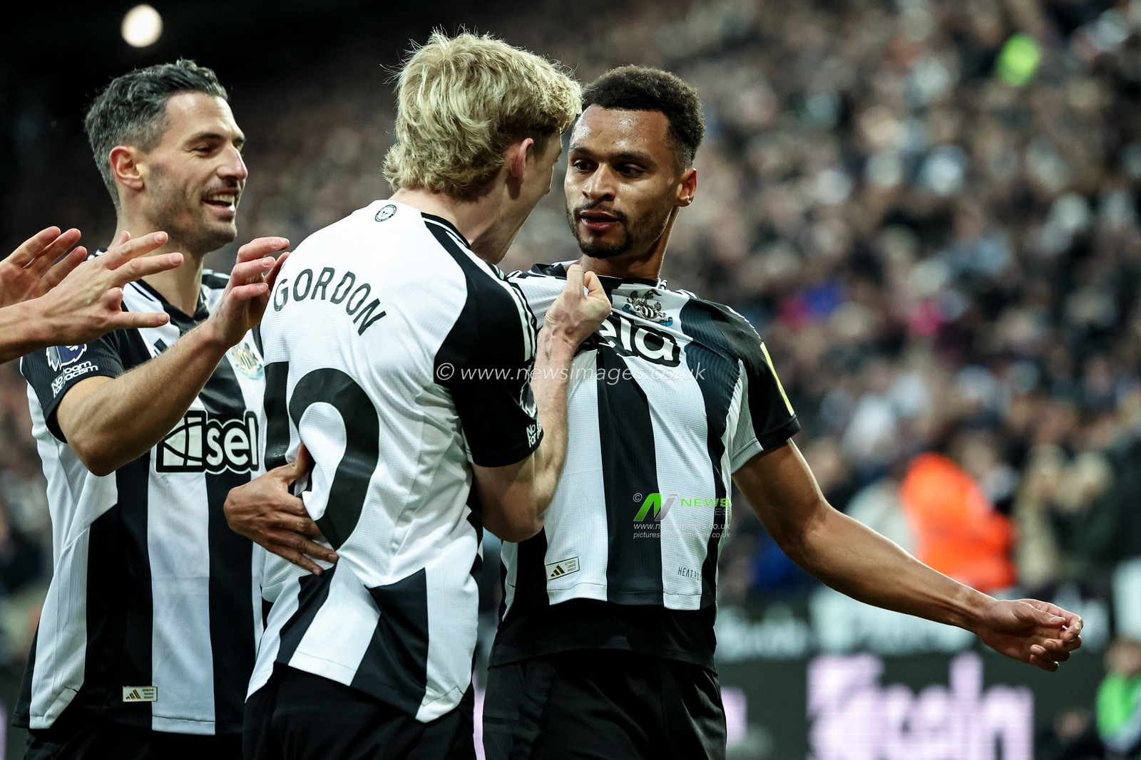 Jacob Murphy of Newcastle United celebrates his goal to make it 1-0 during the Premier League match Newcastle United vs Leicester City at St. James's Park, Newcastle, United Kingdom, 14th December 2024

(Photo by Mark Cosgrove/News Images)