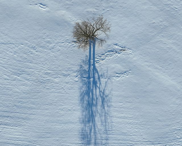 A lone tree and shadow from the sun as heavy Snow over the hills of Scammonden Bridge and Reservoir areas of West Yorkshire r, Kirklees, United Kingdom, 11th January 2025

(Photo by Mark Cosgrove/News Images)