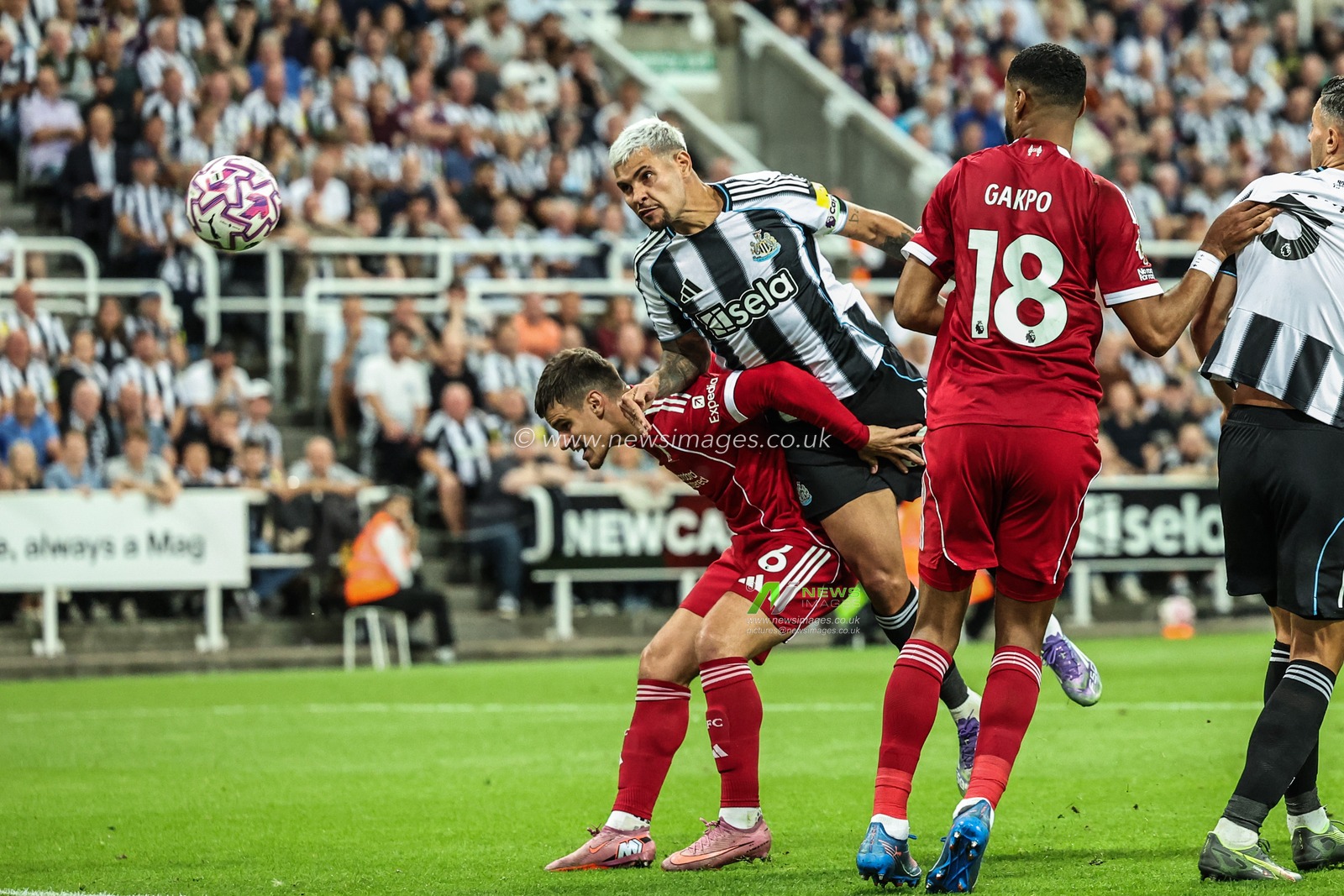 Bruno Guimarães of Newcastle United scores to make it 1-2 during the Premier League match Newcastle United vs Liverpool at St. James's Park, Newcastle, United Kingdom, 25th August 2025

(Photo by Mark Cosgrove/News Images)