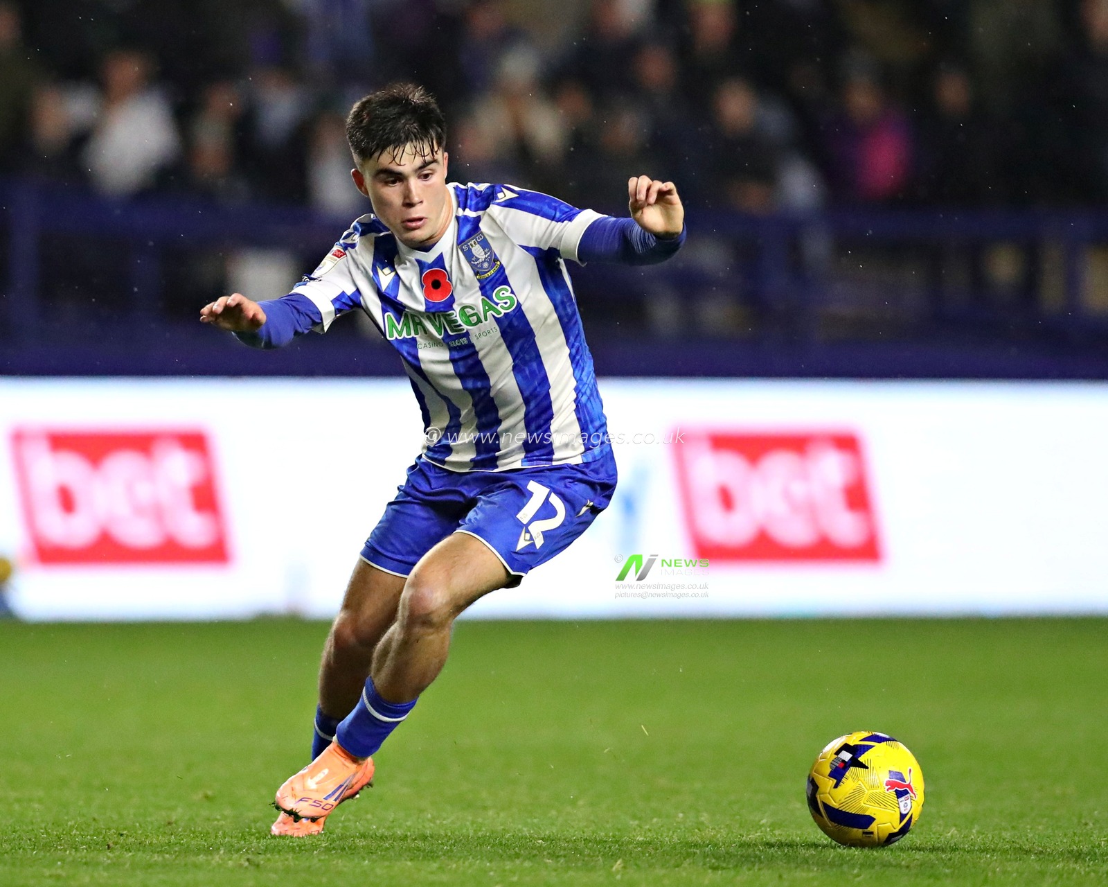 Harry Darling of Norwich City pressures Harry Amass of Sheffield Wednesday during the Sky Bet Championship match Sheffield Wednesday vs Norwich City at Hillsborough, Sheffield, United Kingdom, 5th November 2025(Photo by Sam Eaden/News Images)*** GER AUT SUI OUT ***