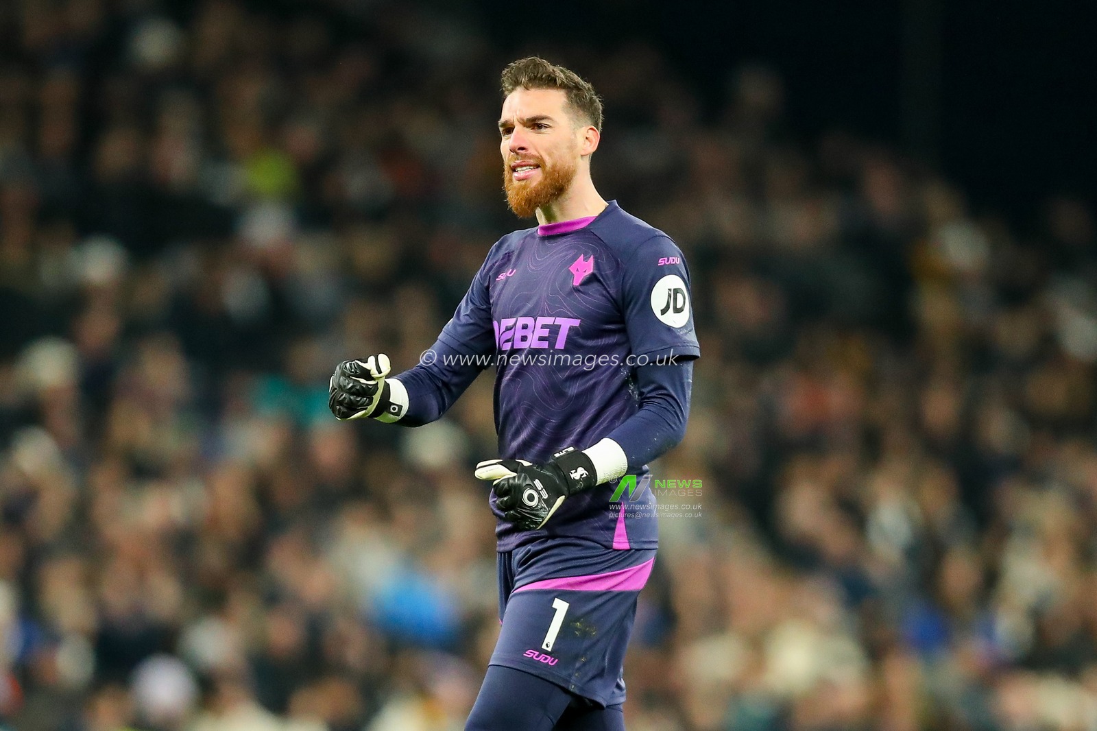 during the Premier League match Tottenham Hotspur vs Wolverhampton Wanderers at Tottenham Hotspur Stadium, London, United Kingdom, 29th December 2024

(Photo by Izzy Poles/News Images)