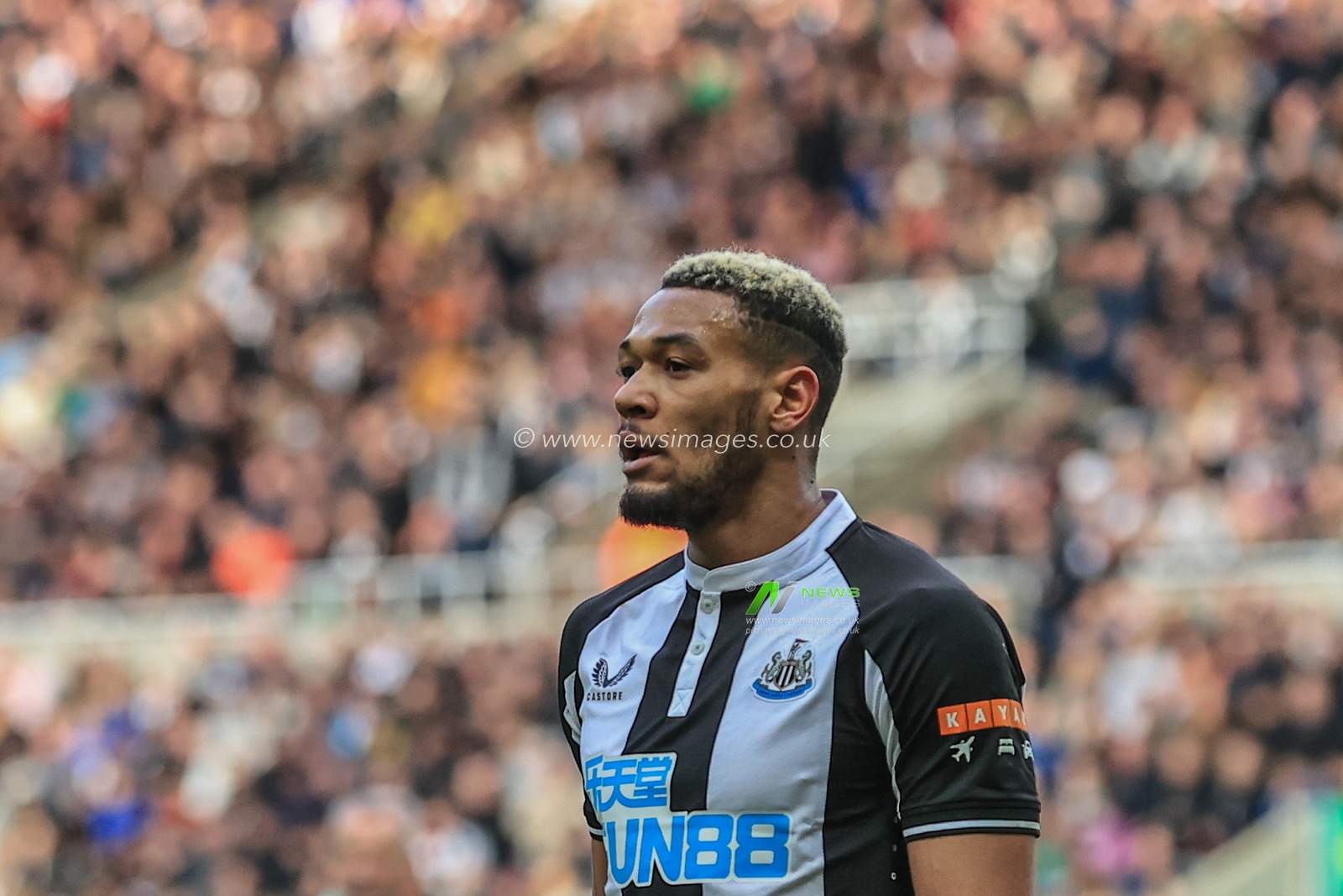 Joelinton #7 of Newcastle United during the game